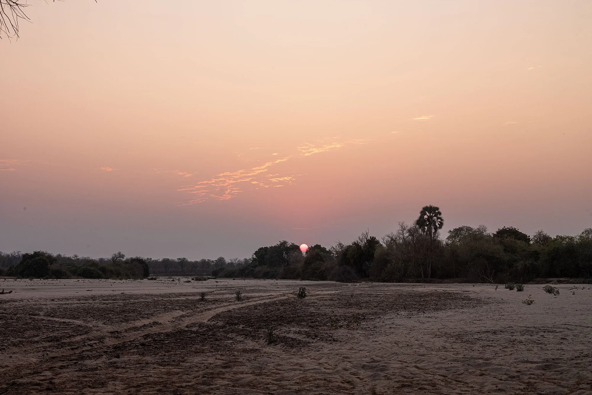 Mana Pools, Zimbabwe.
