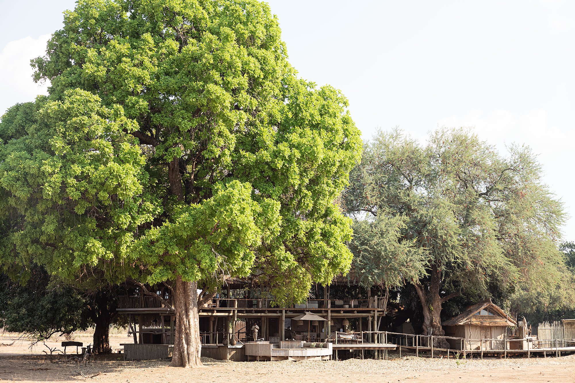 Nyamatusi Camp. Mana Pools, Zimbabwe.