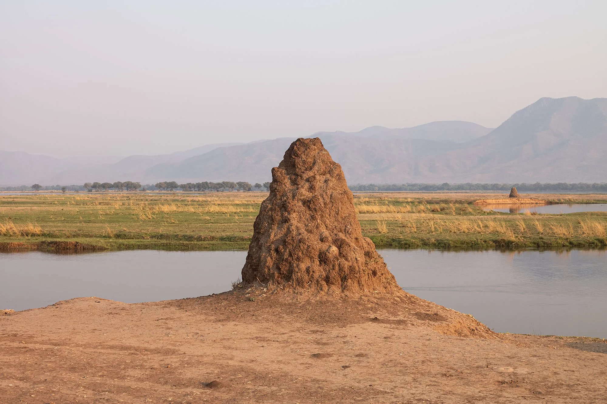 Mana Pools, Zimbabwe.