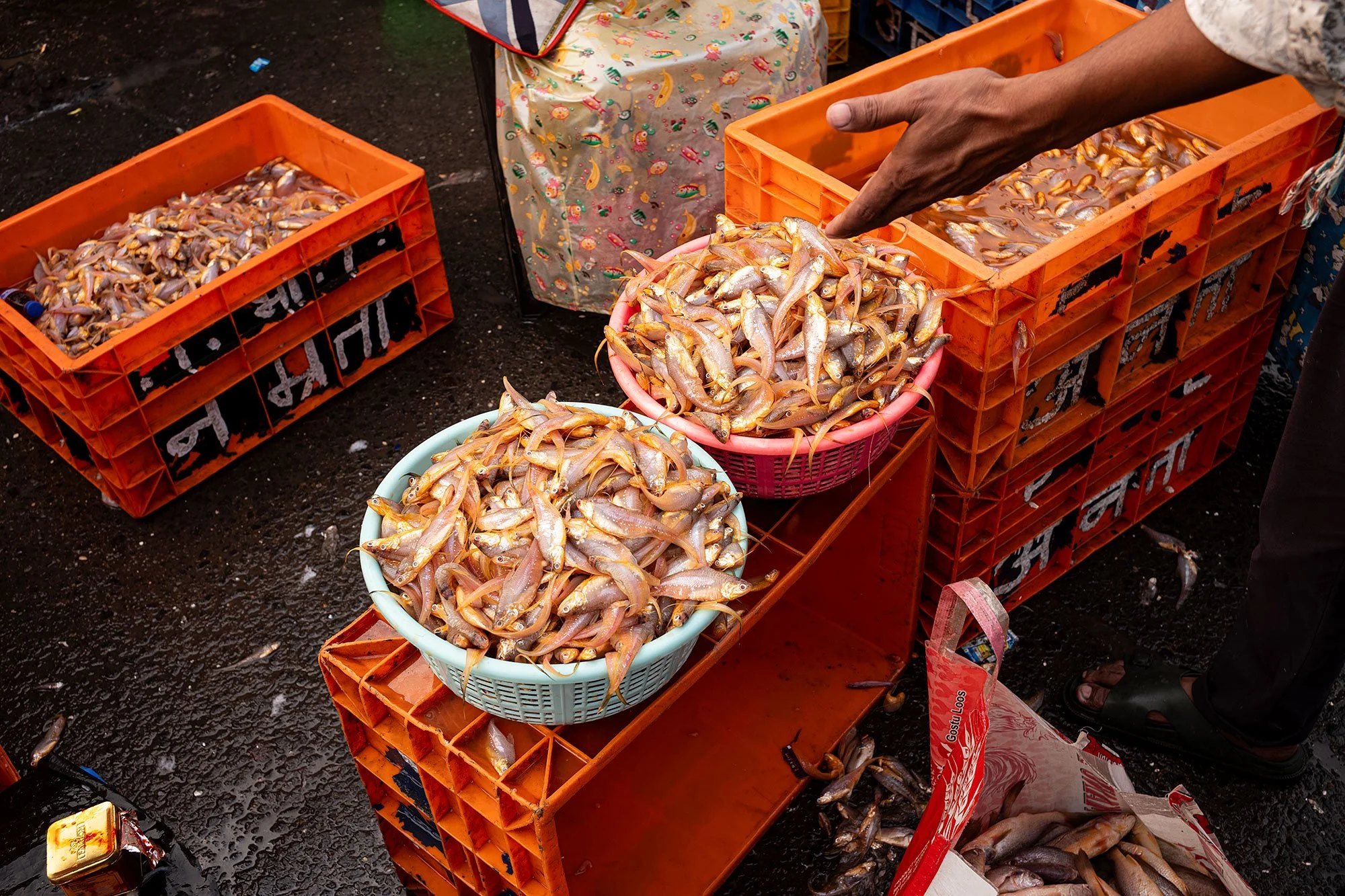 Sassoon dock jetty. Mumbai, India.