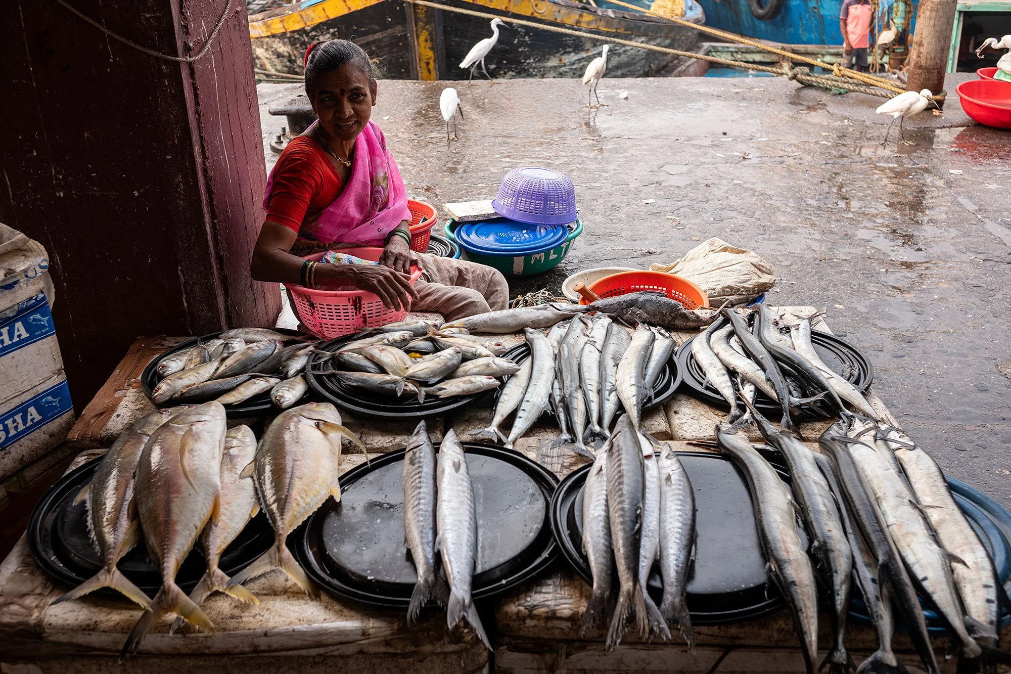 Sassoon dock jetty. Mumbai, India.
