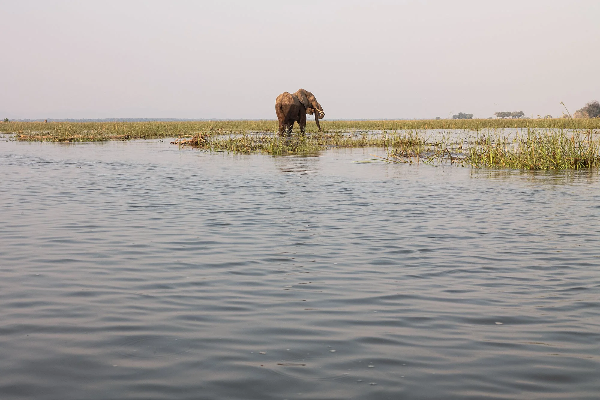 Canoeing on the Zambezi River. Mana Pools, Zimbabwe.
