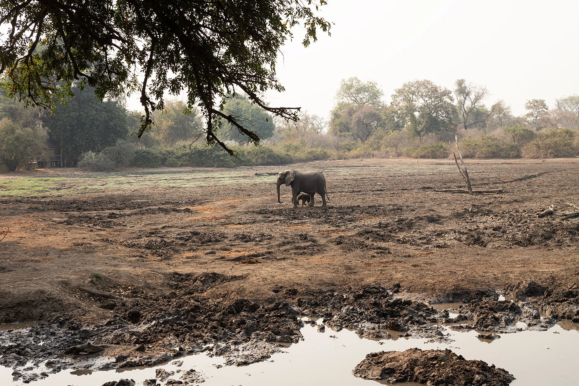 Mana Pools, Zimbabwe.