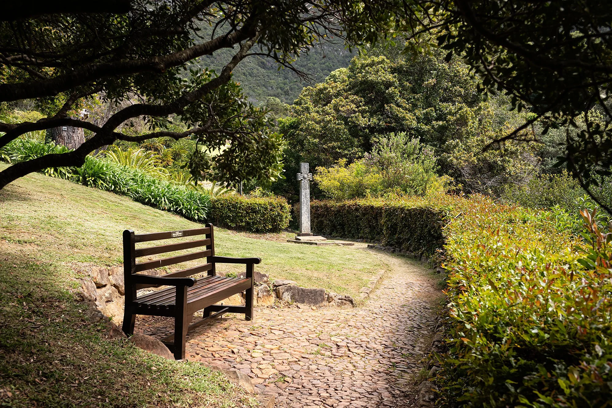 Kirstenbosch National Botanical Garden. Cape Town, South Africa.