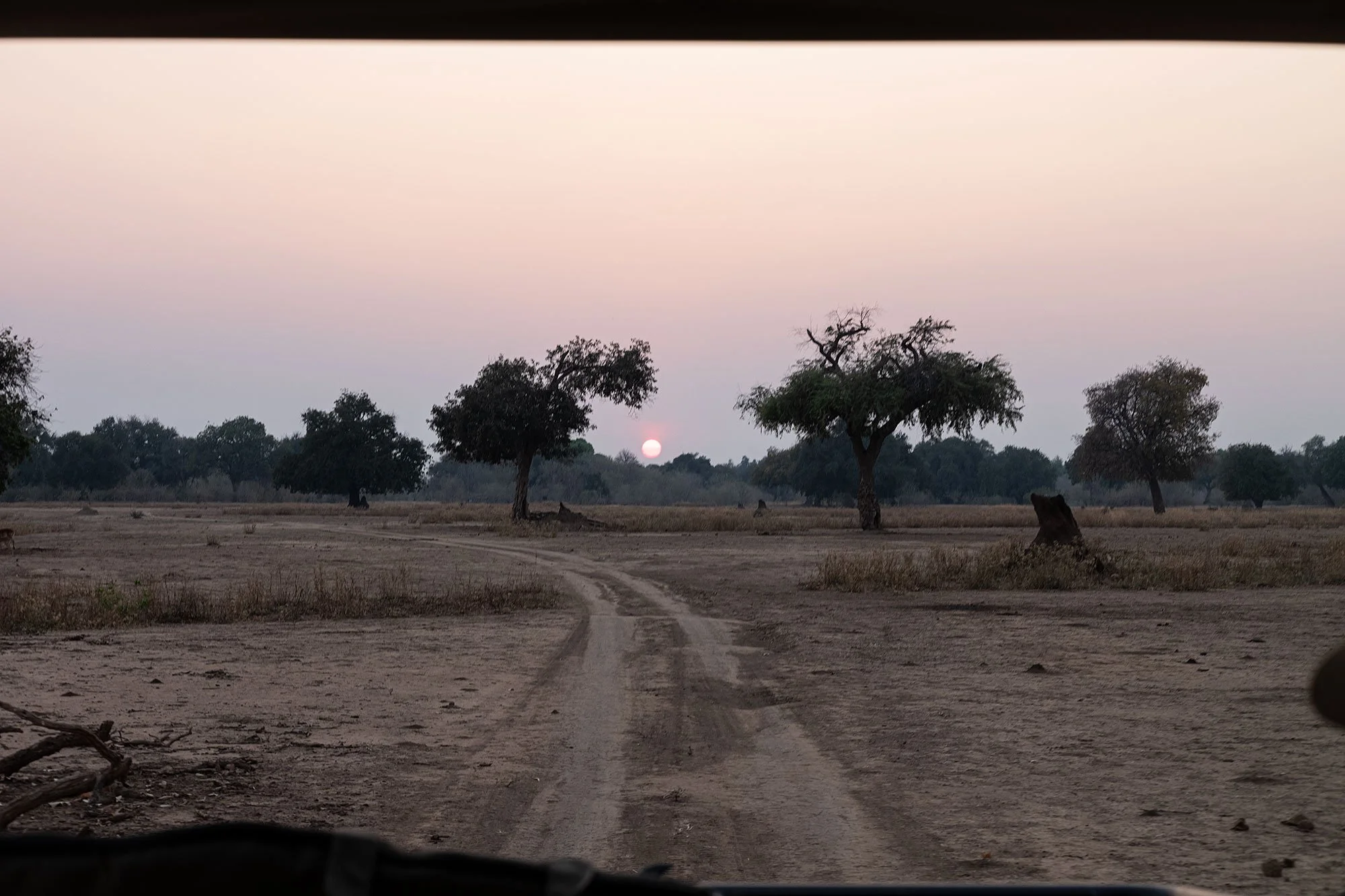 Mana Pools, Zimbabwe.