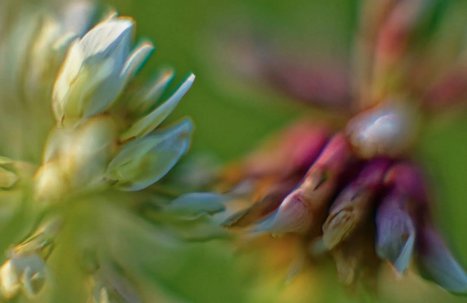 Art and Not Art: Matthew Klein Discusses the Blurred Line with David Levy