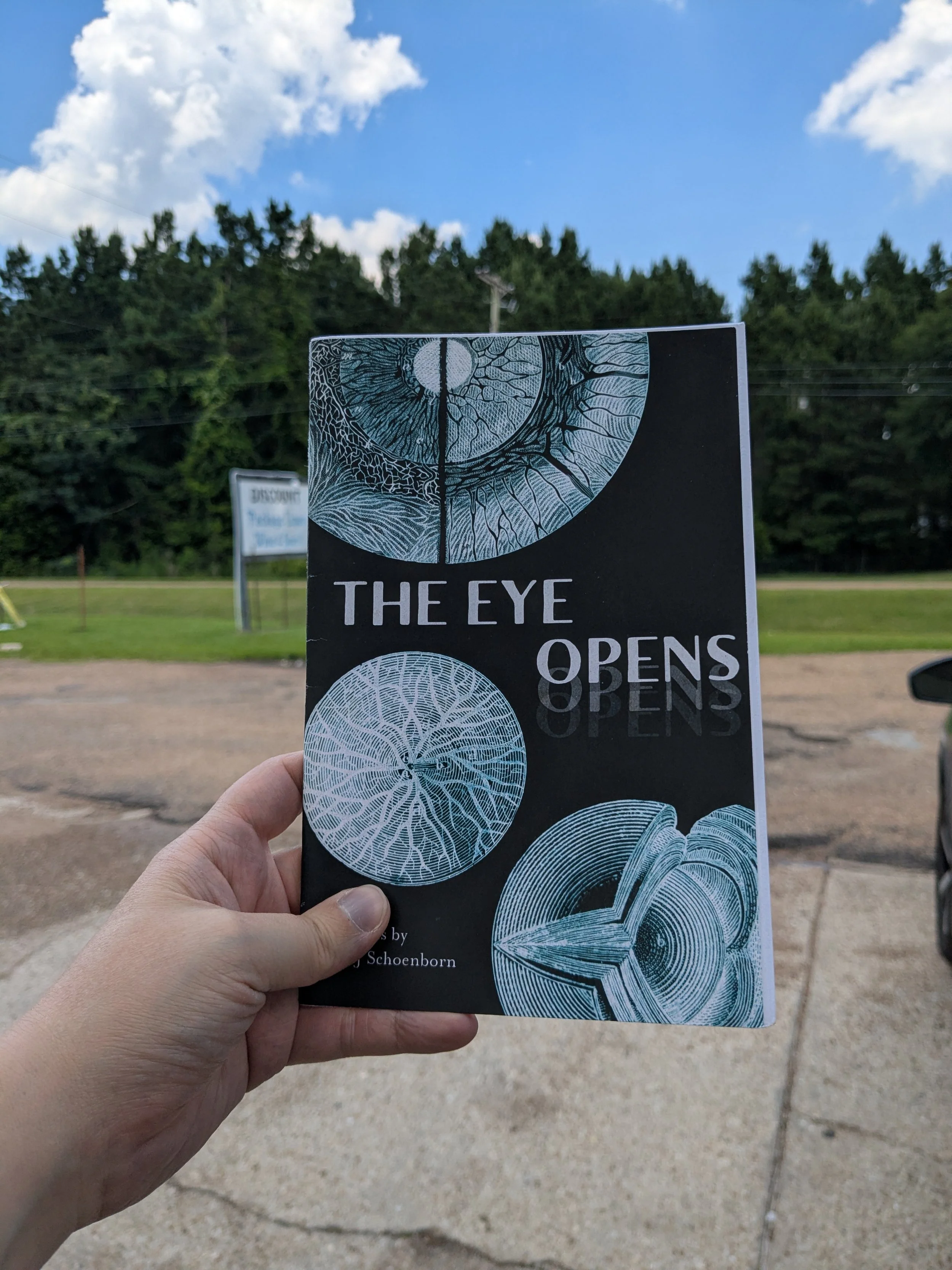 The Eye Opens by E. J. Schoenborn