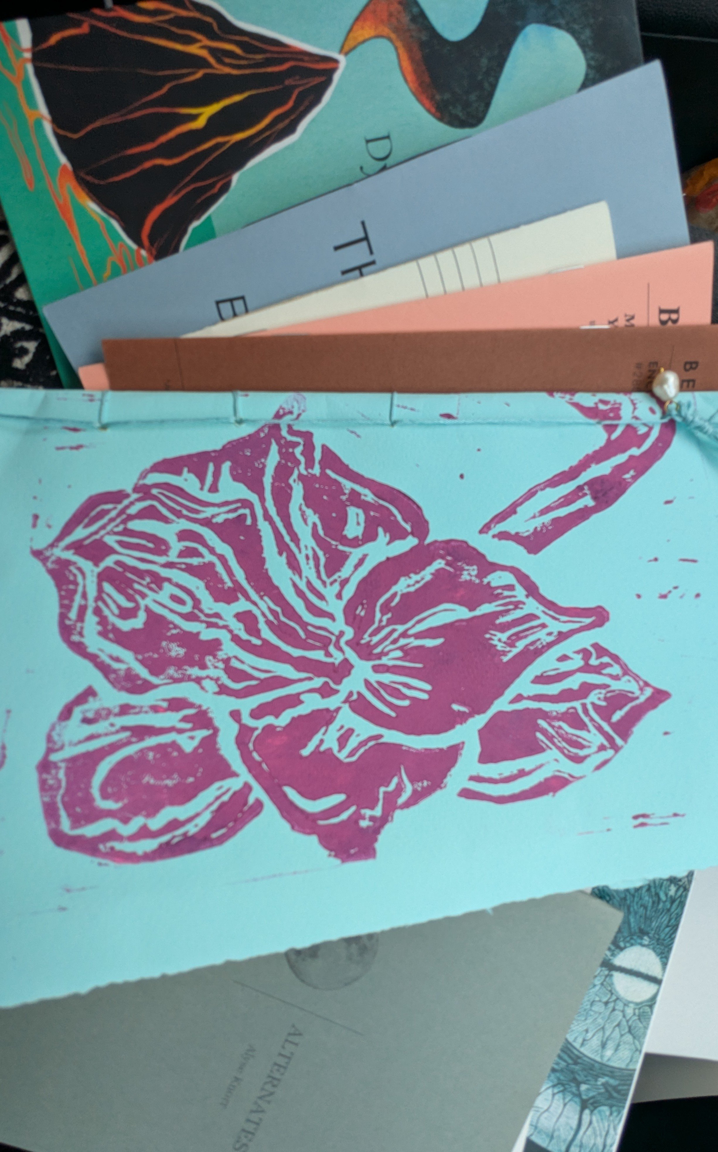  heidi andrea restrepo rhodes’s chapbook, Medusita