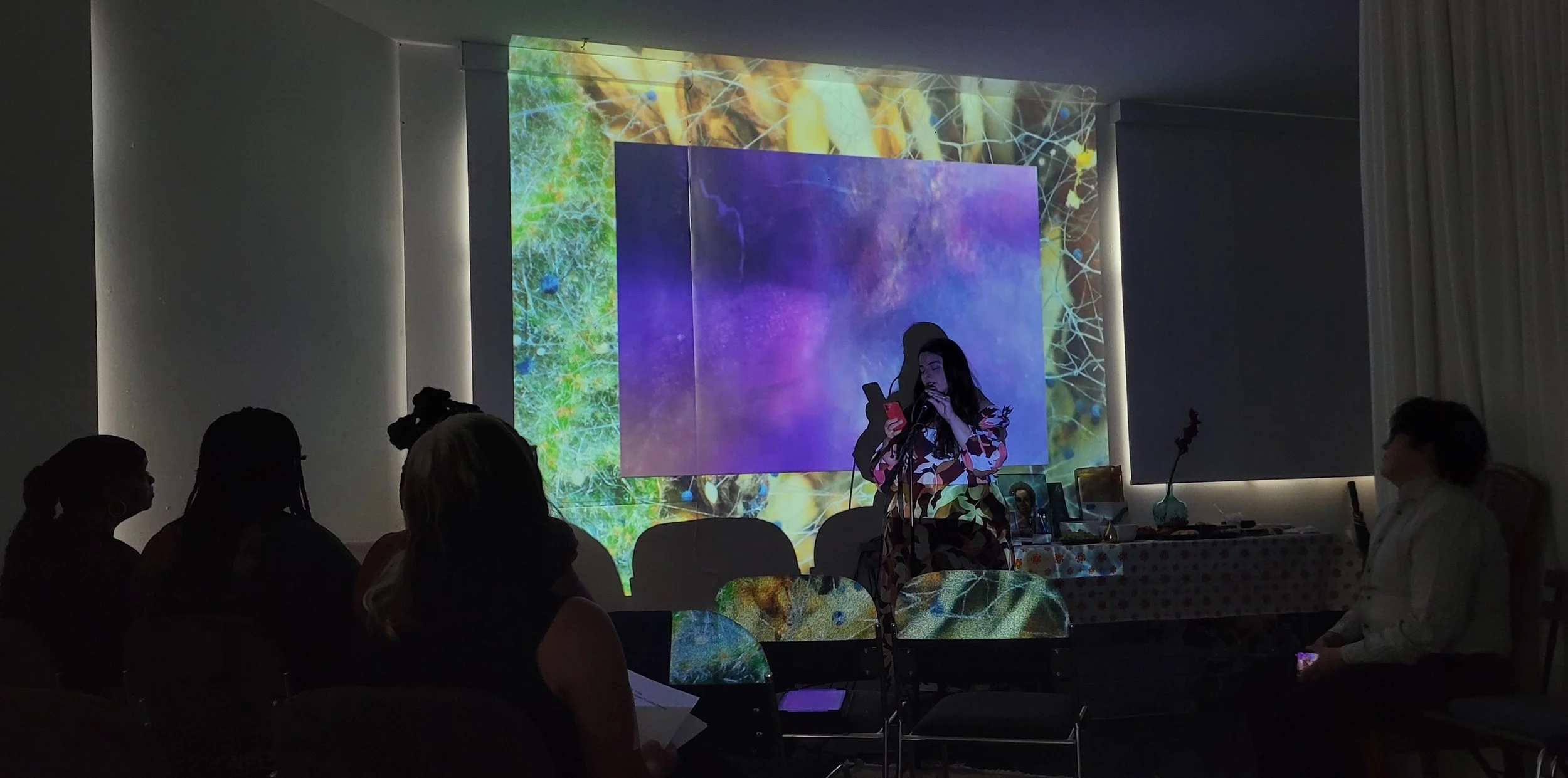 Aliah Reads as hues and shapes from Liz Williams Trader's digital art  wash the reader’s faces as they performed. 