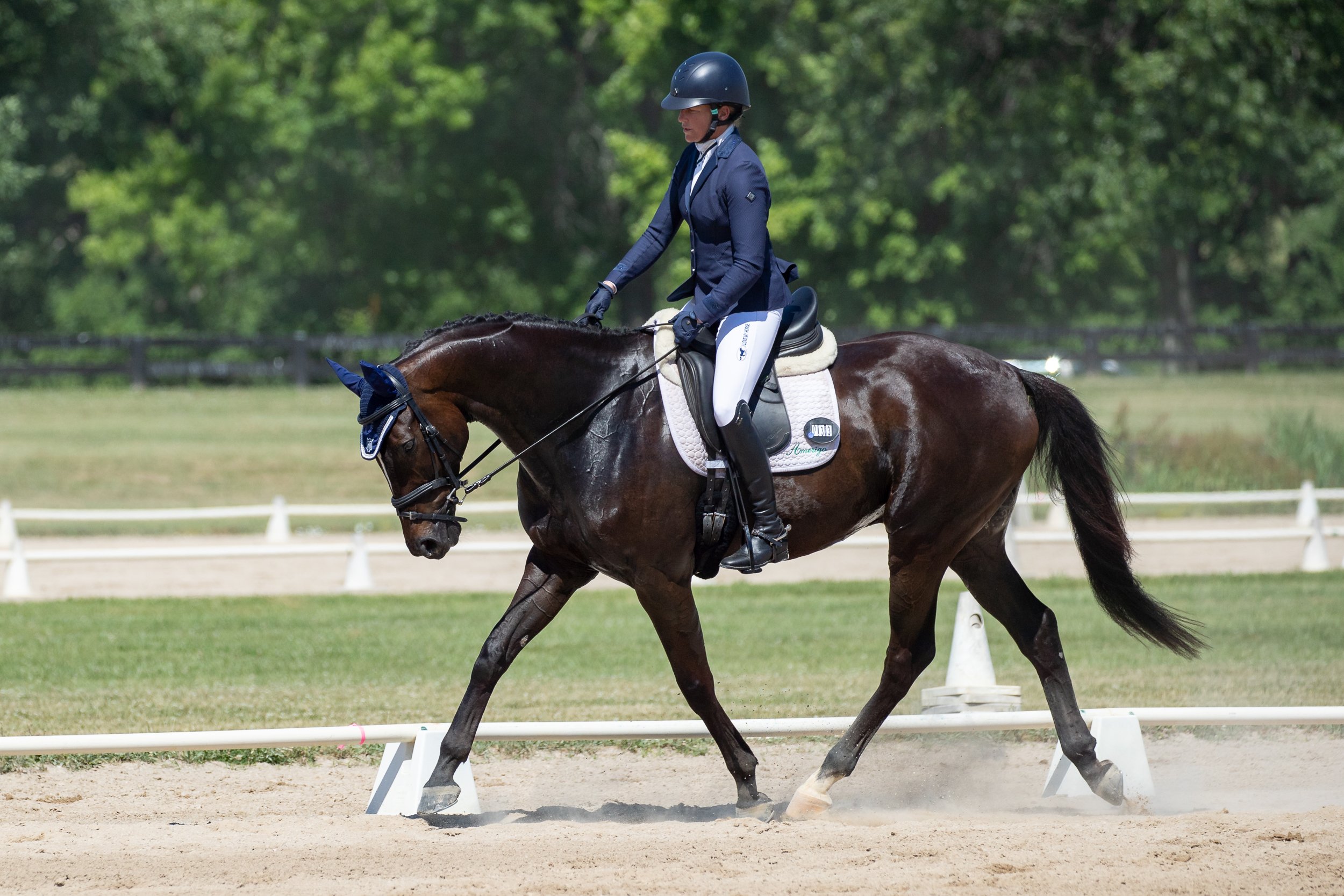 WEB.SQ.KentuckyHorsePark.Dressage.HorseTrials-3.jpg