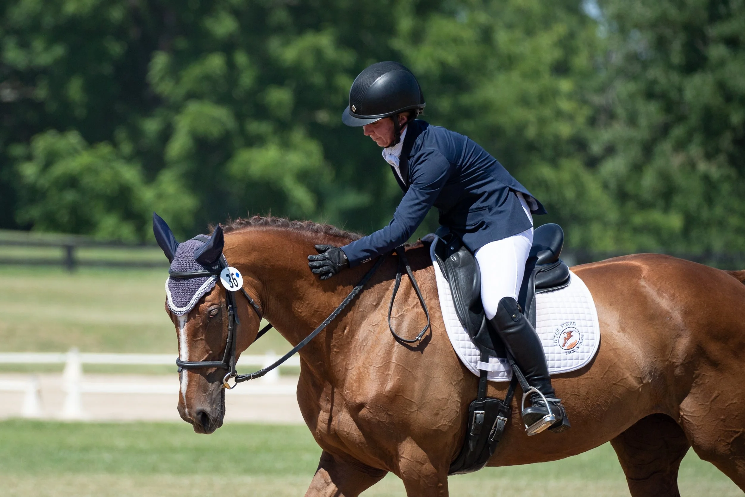 WEB.SQ.KentuckyHorsePark.Dressage.HorseTrials-11.jpg