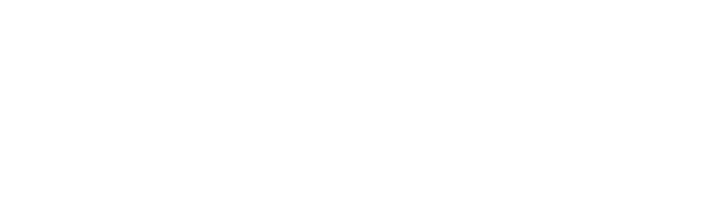 Mike-Kim-New-Logo-Horizontal copy.png
