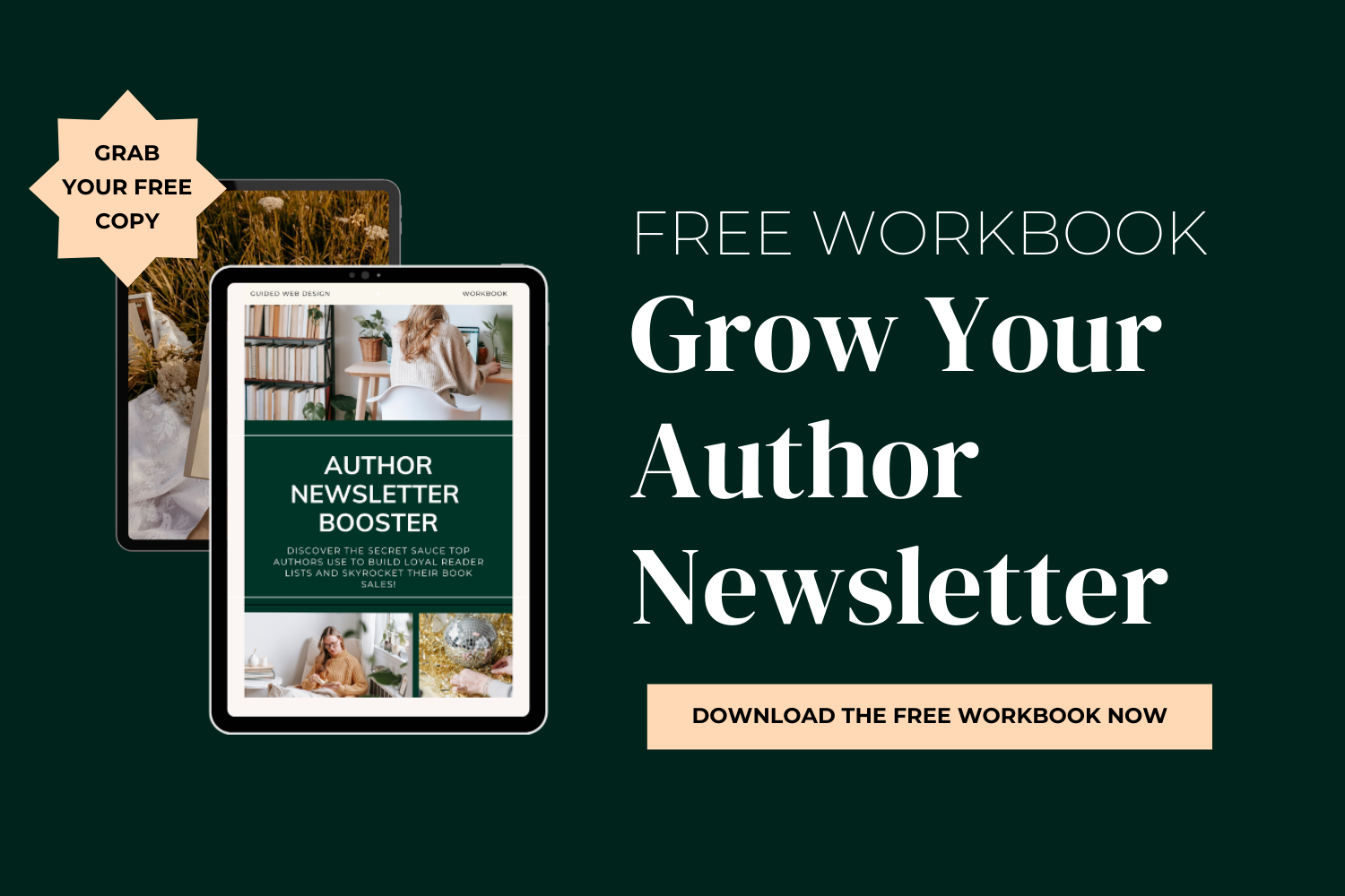 Author Newsletter Booster