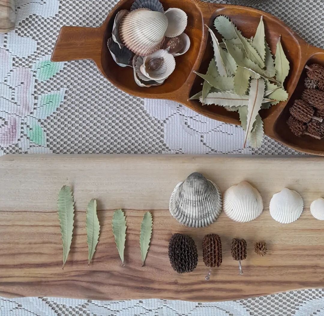 Nature invites so many ways to explore number sense. 🍂