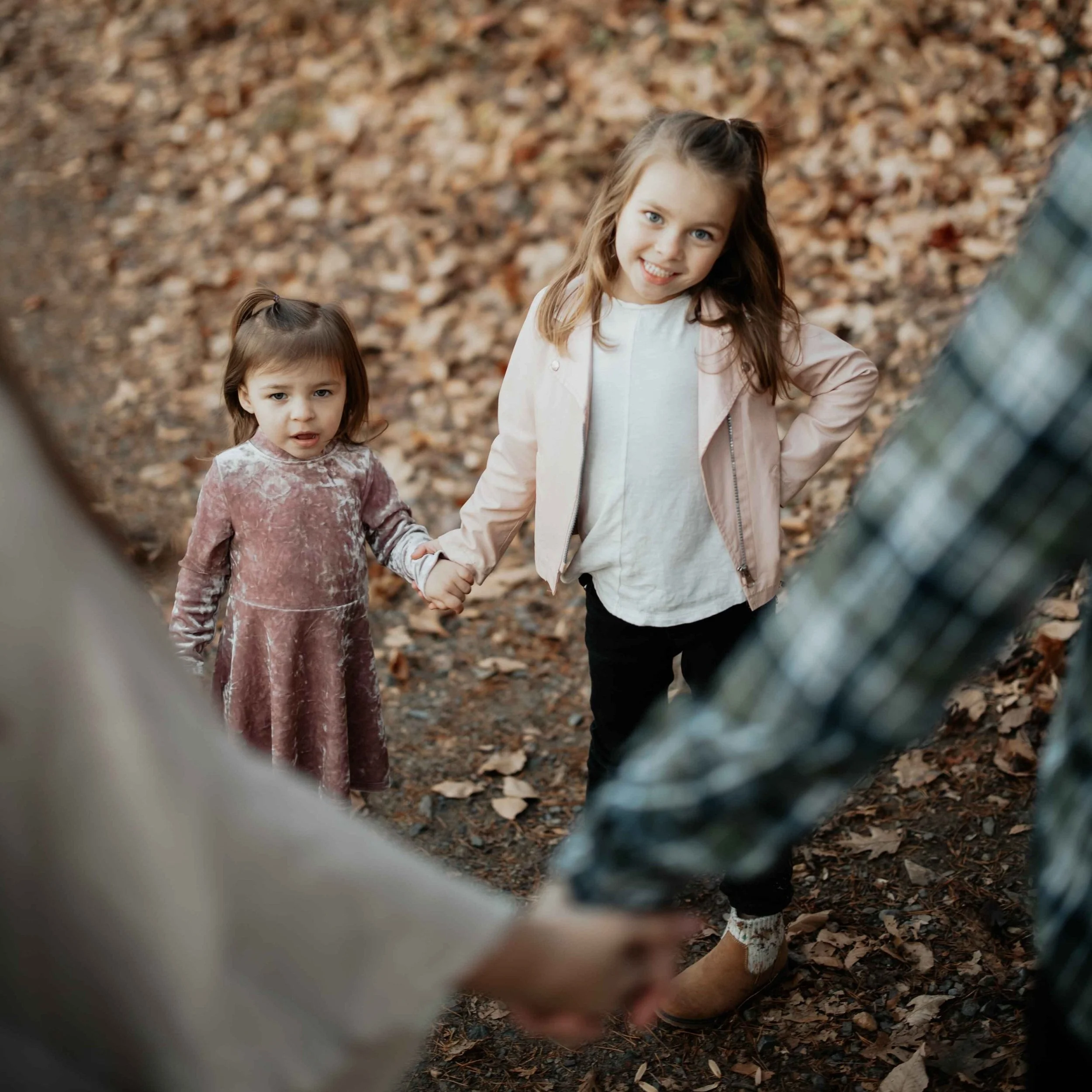 SHEEHAN FAMILY SESSION 11-16-24-14.jpg