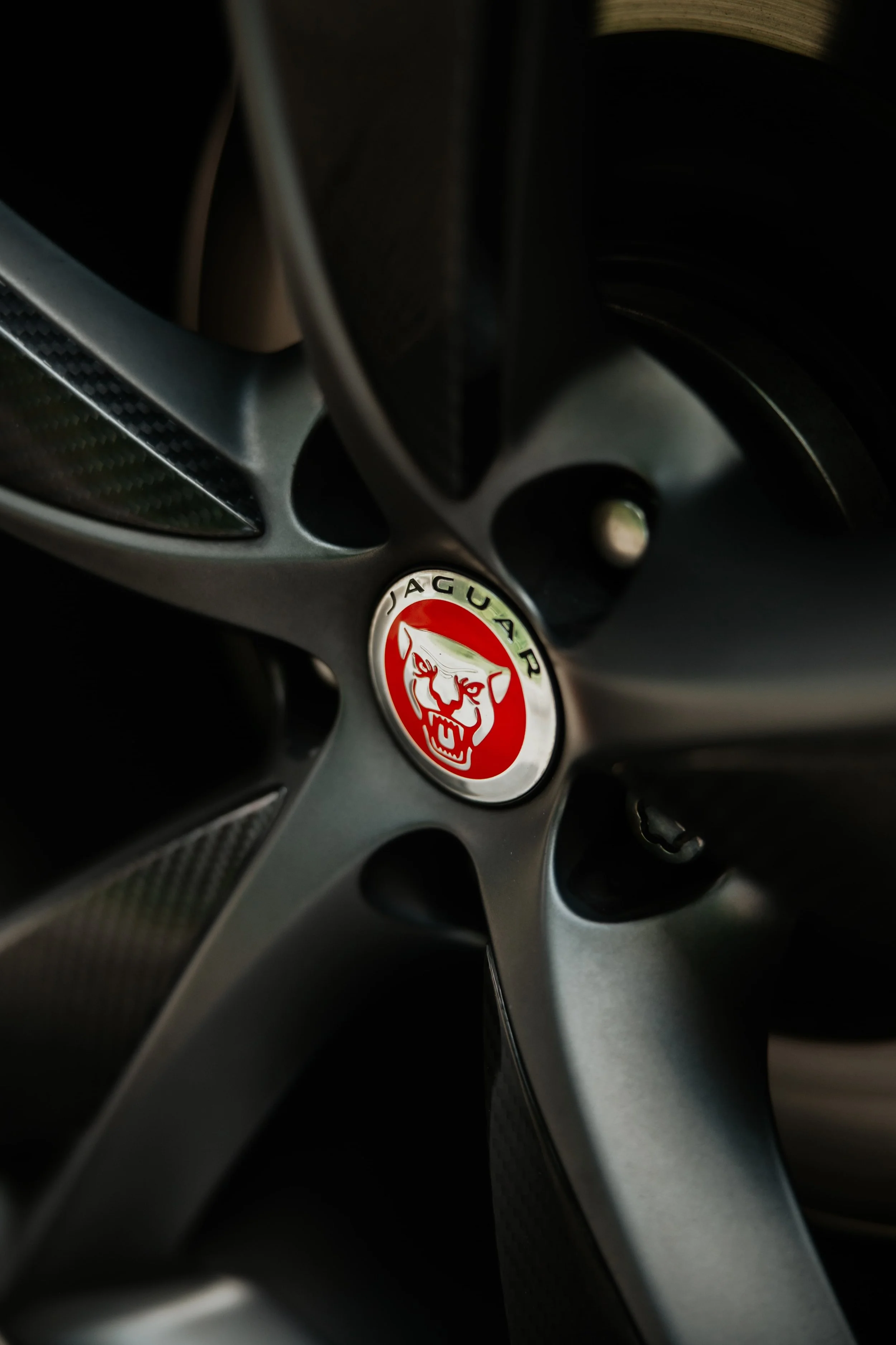 BNELSON LIFESTYLE SESSION 5-3-25-62-min.jpg