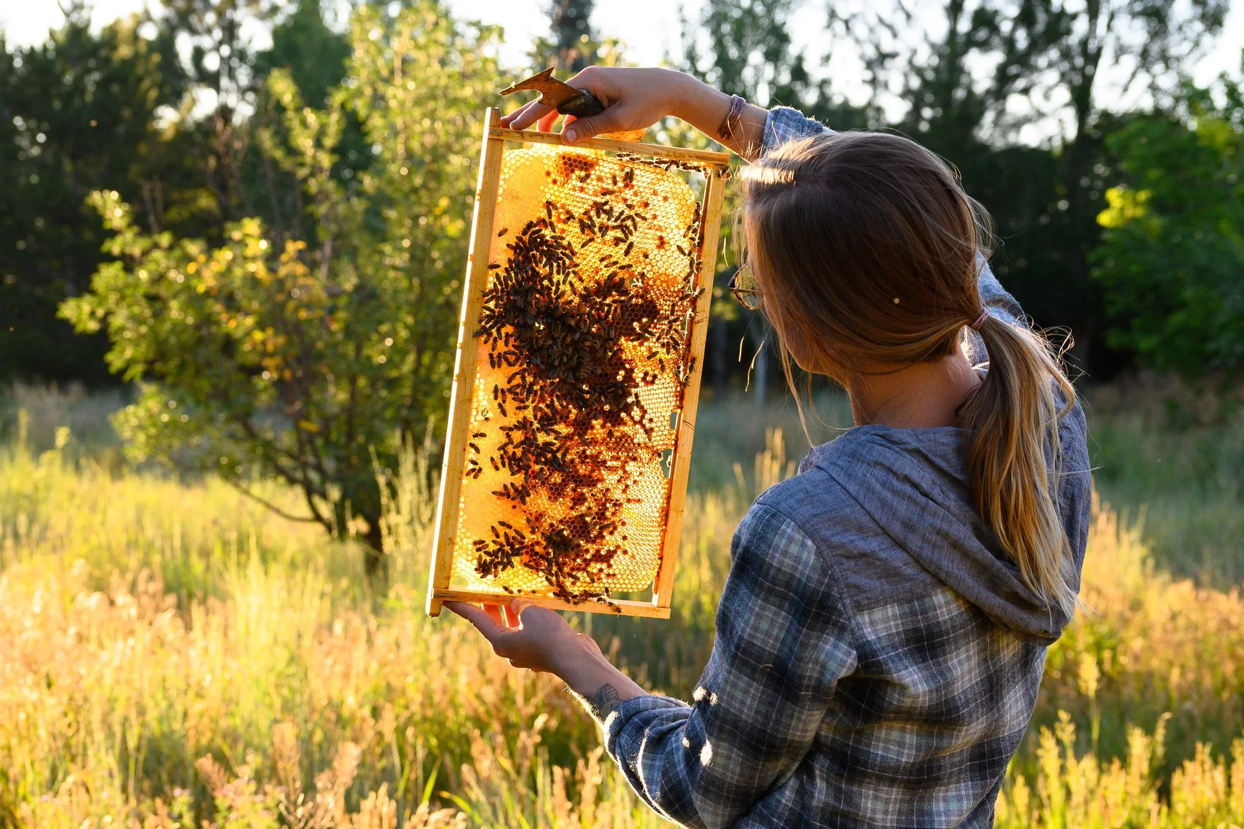 Katee Klieber Taos Folk Artist 2024