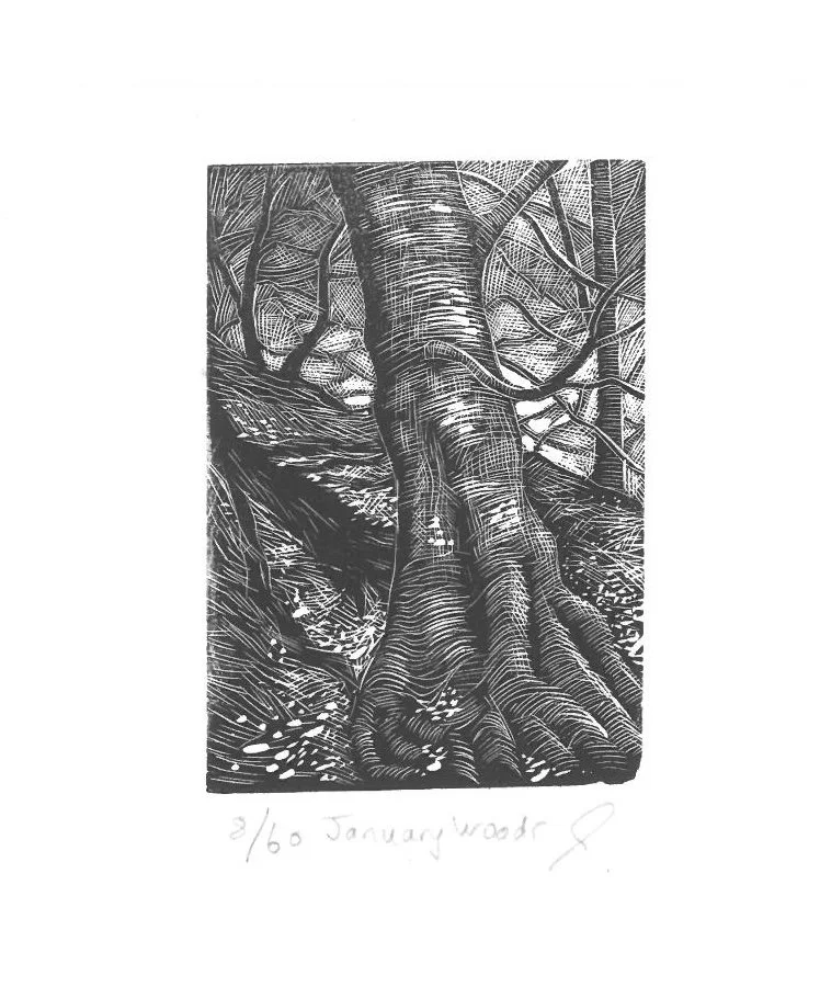 january trees WE.jpg