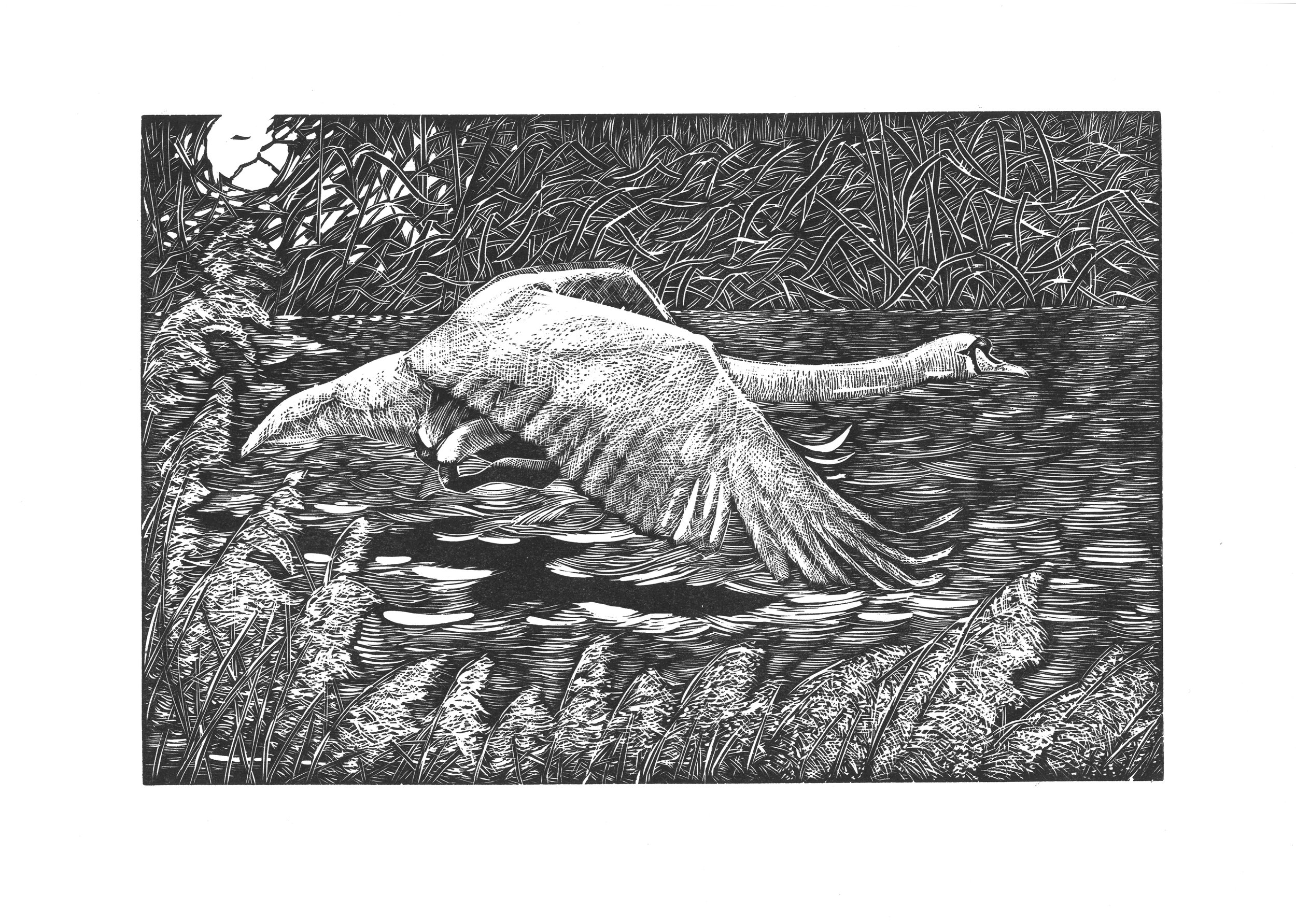 Wings over Elterwater Lino Print 305x204mm