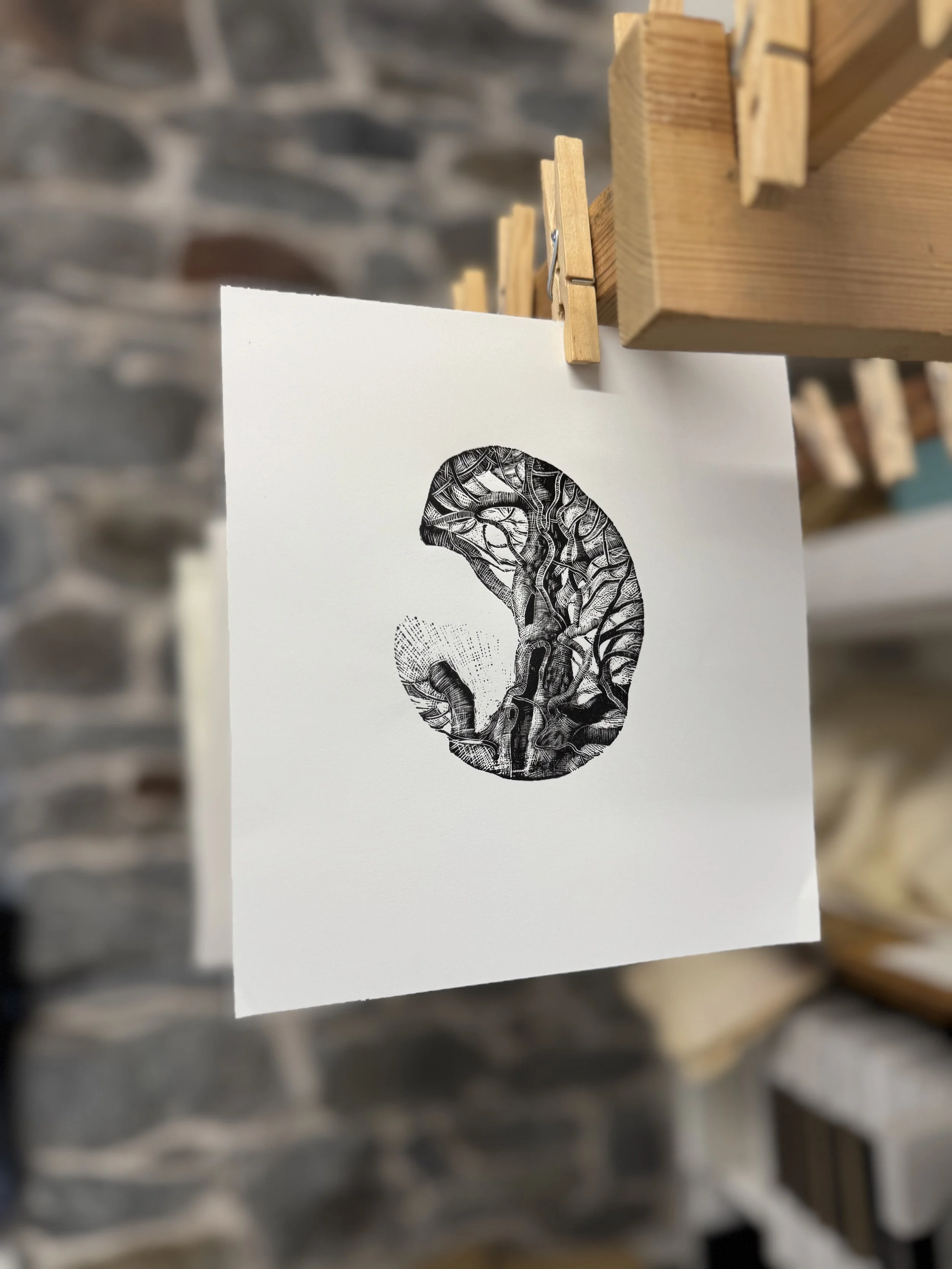 Gnarled Tree wood engraving