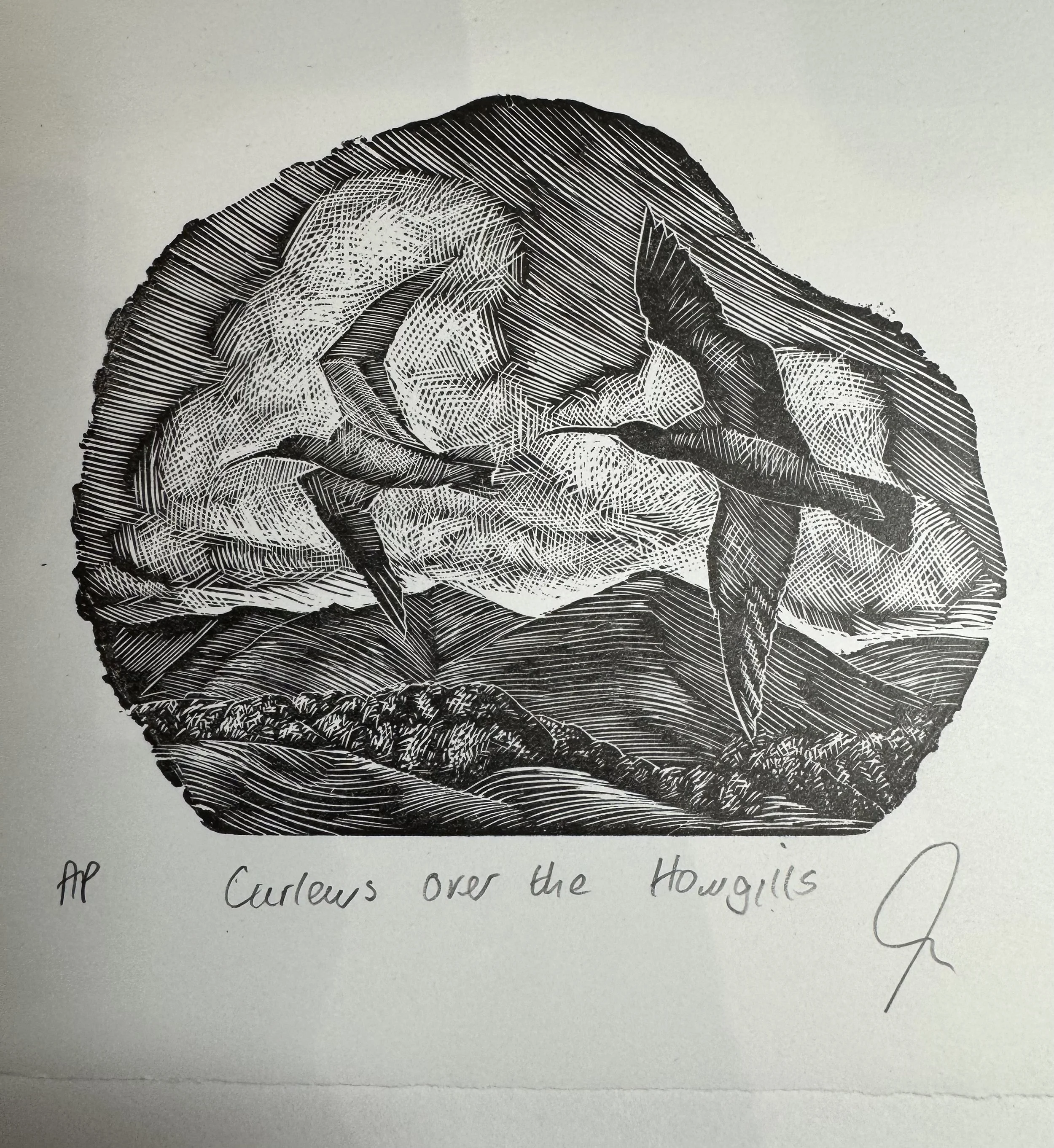 Curlews over the Howgills