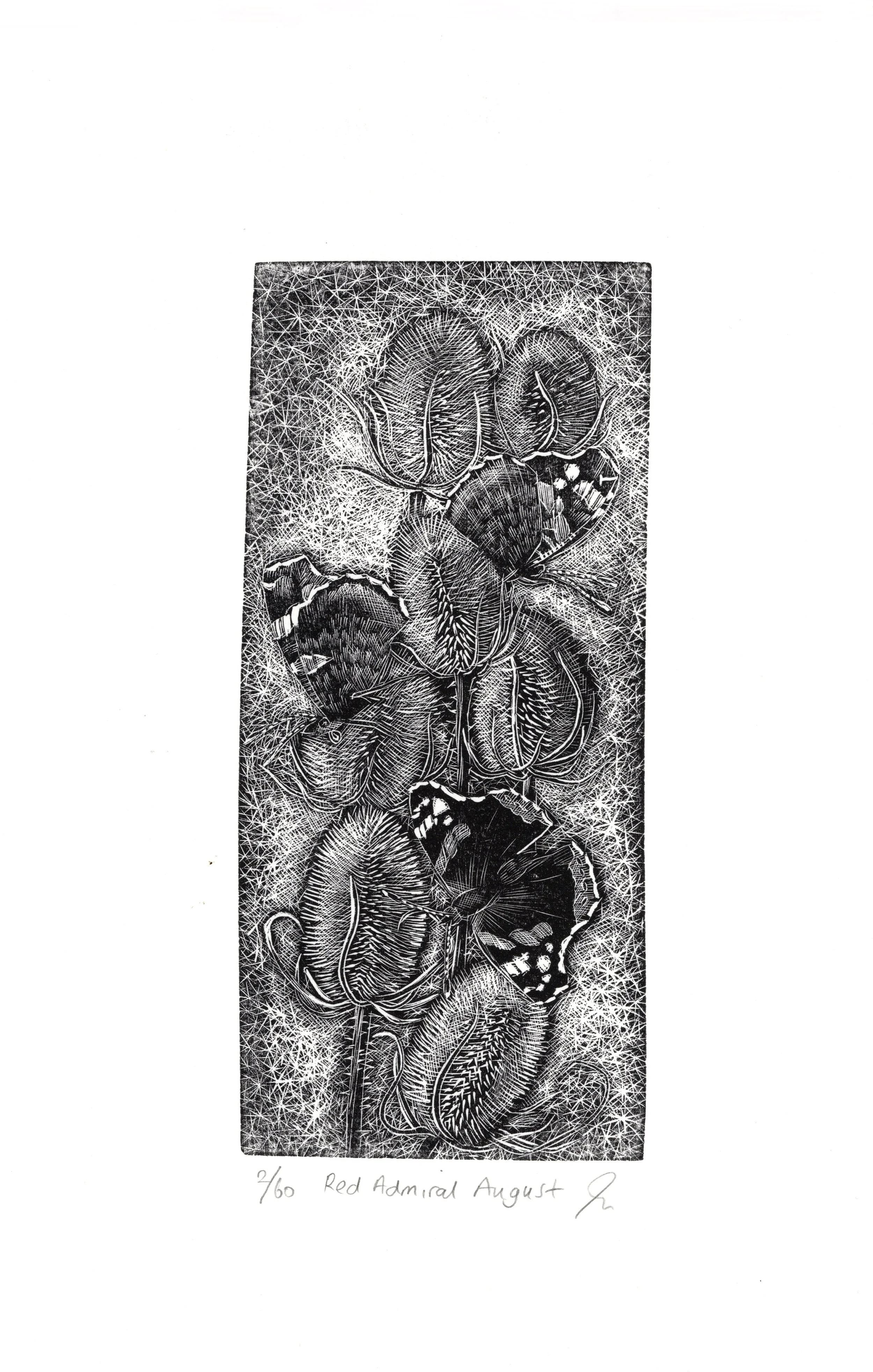 Red Admiral August wood engraving