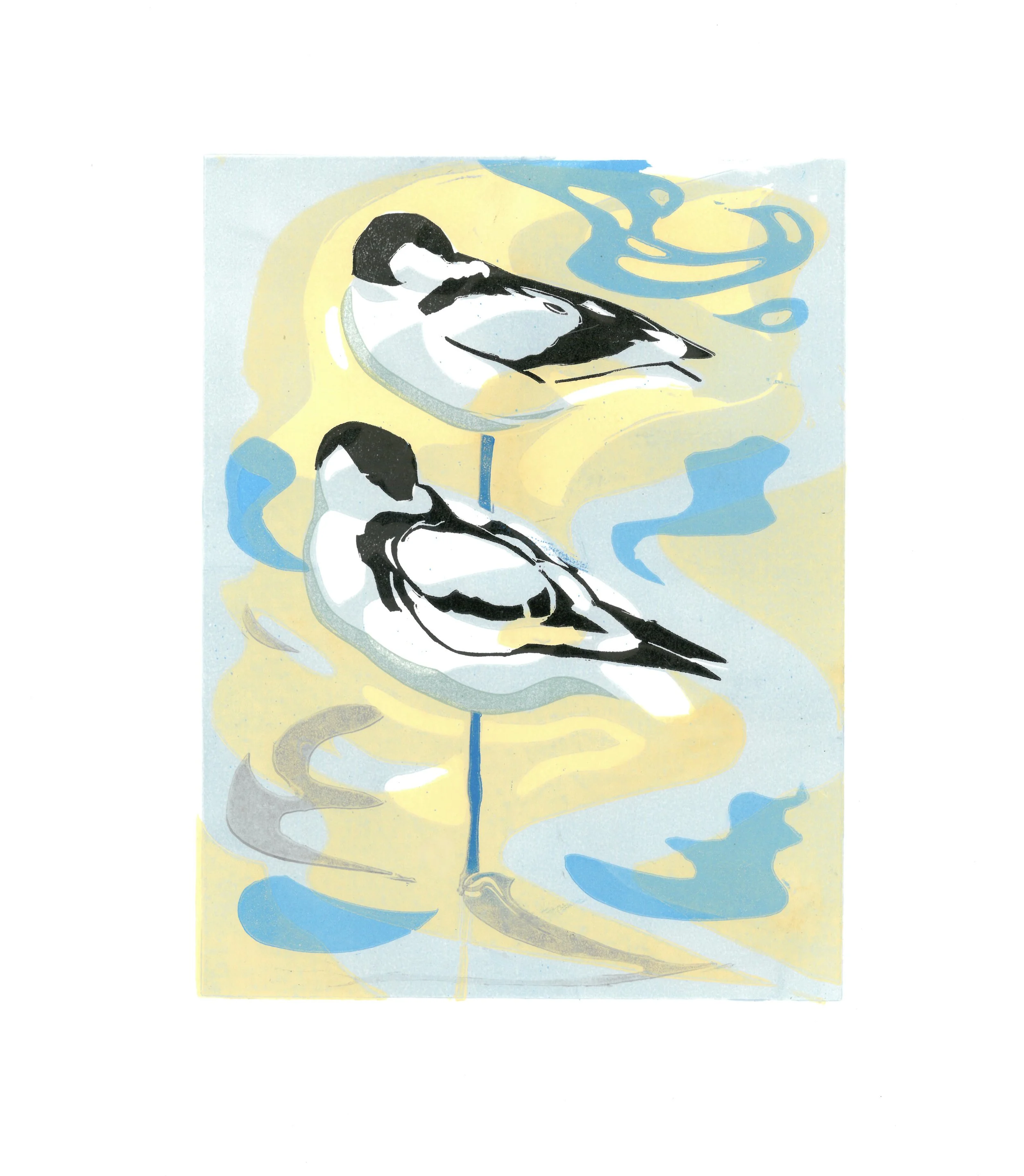 Resting Avocets Lino print 152x210mm

