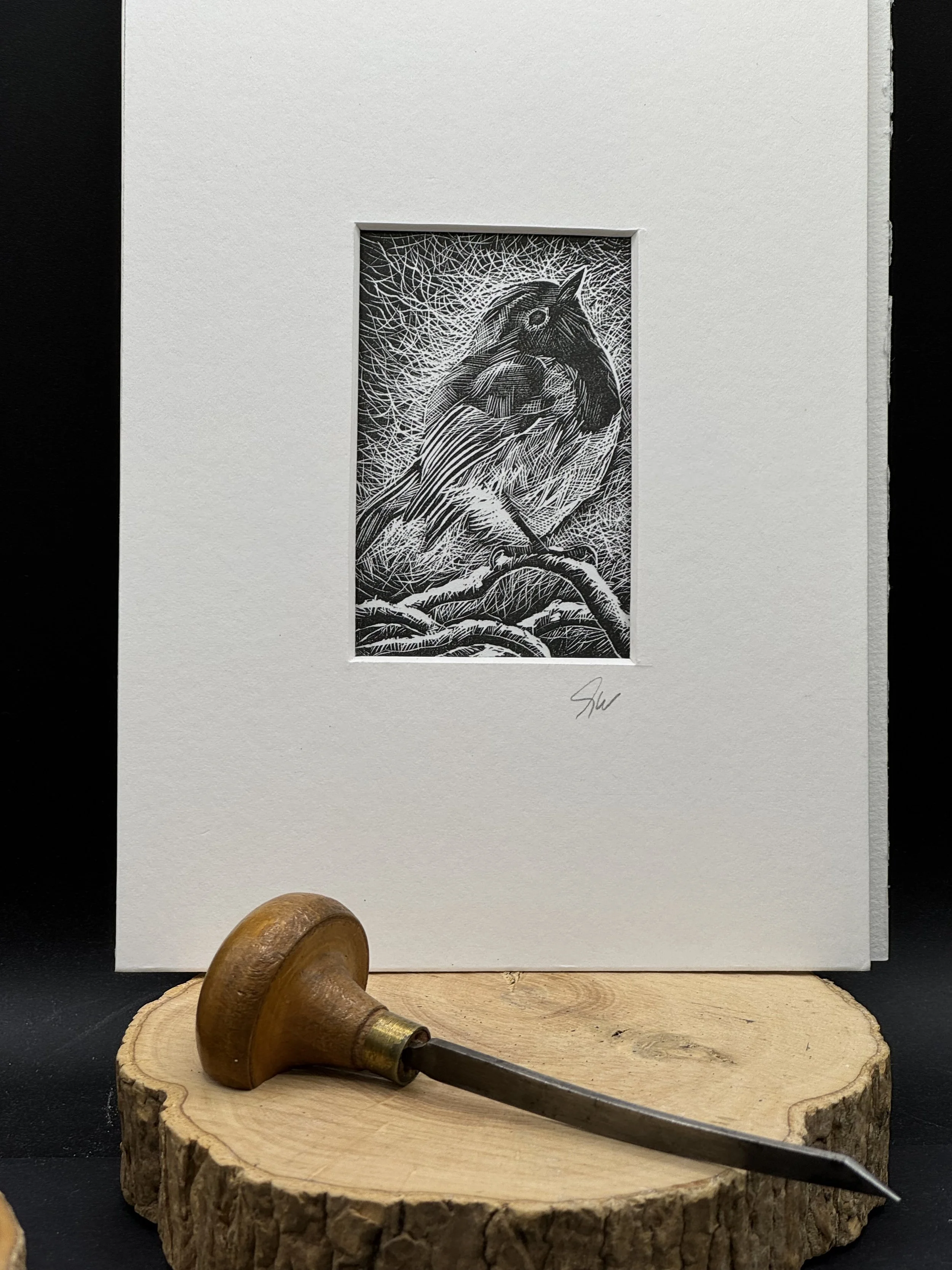 Robin wood engraving