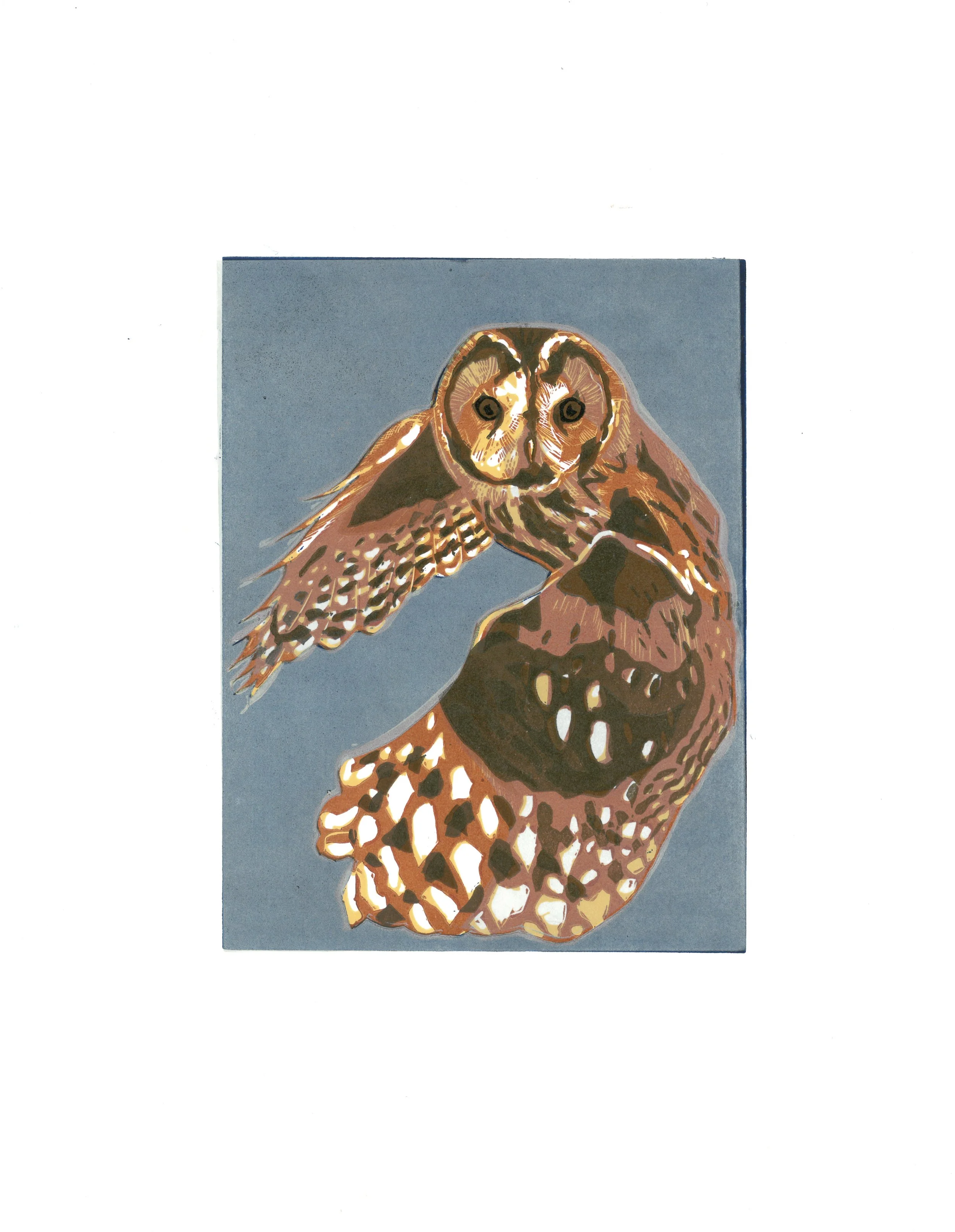 Tawny Ow Lino Print 152x210mm