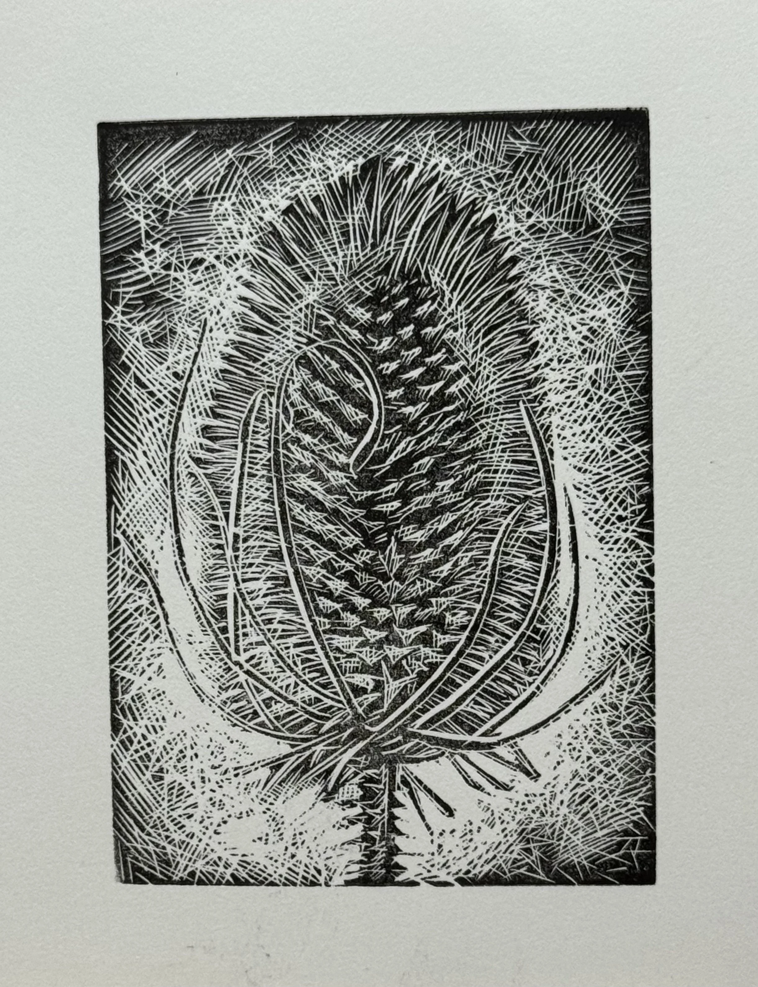 Wood engraving