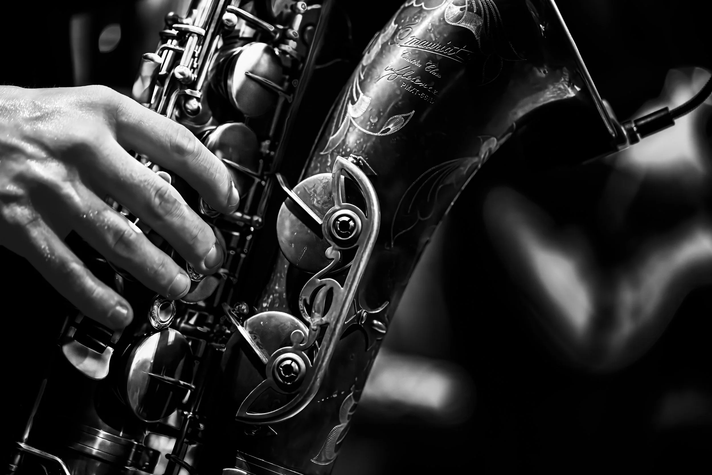 _JDA3608-44Sax CU- B&W.jpg
