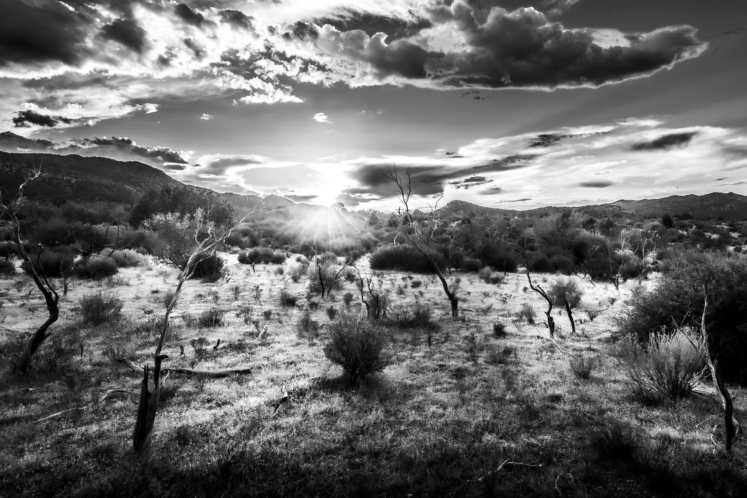 A black and white landscape of a desert with dry, twisted trees, low bushes, hills, and a sky filled with dark, dramatic clouds with the sun setting or rising on the horizon.