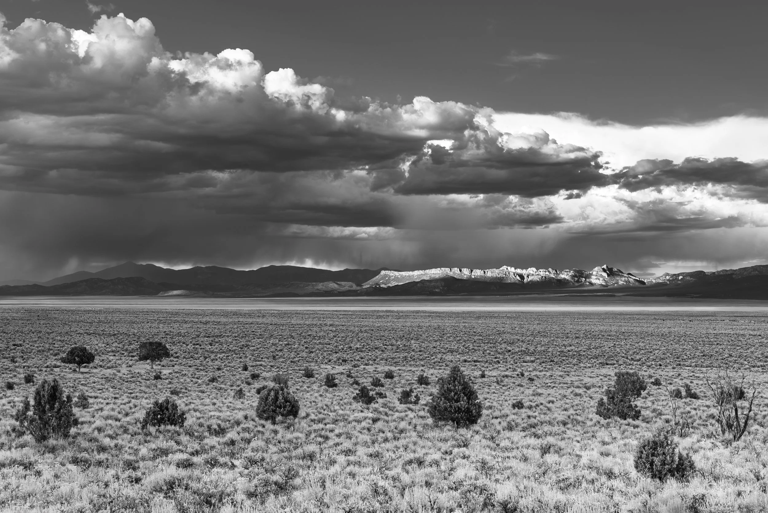 Black and white landscape photo of open grassy plains with sparse small trees, mountain range in the distance, and a sky filled with large, dramatic clouds.