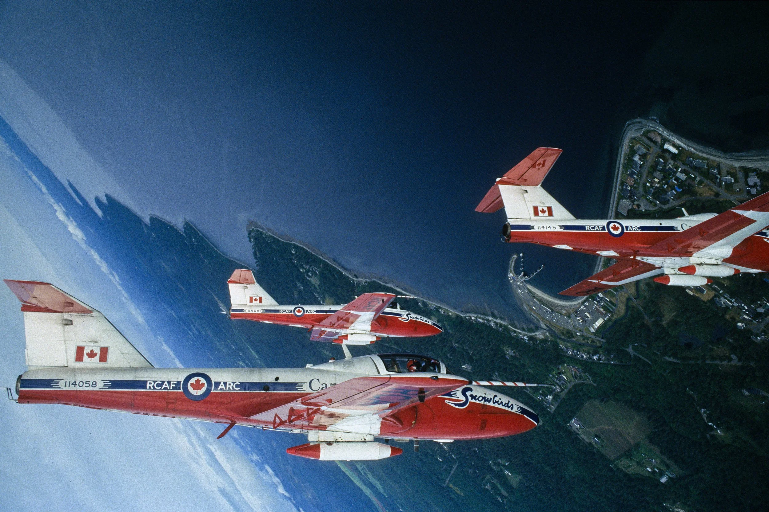 snowbirds-8.jpg