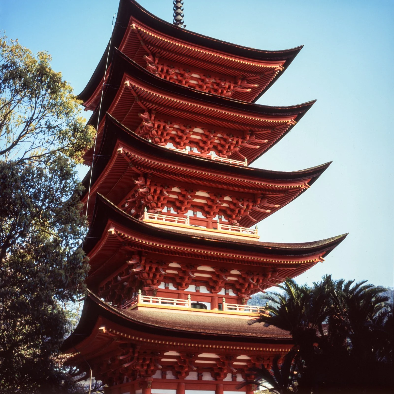 jp_velvia50-11.jpg