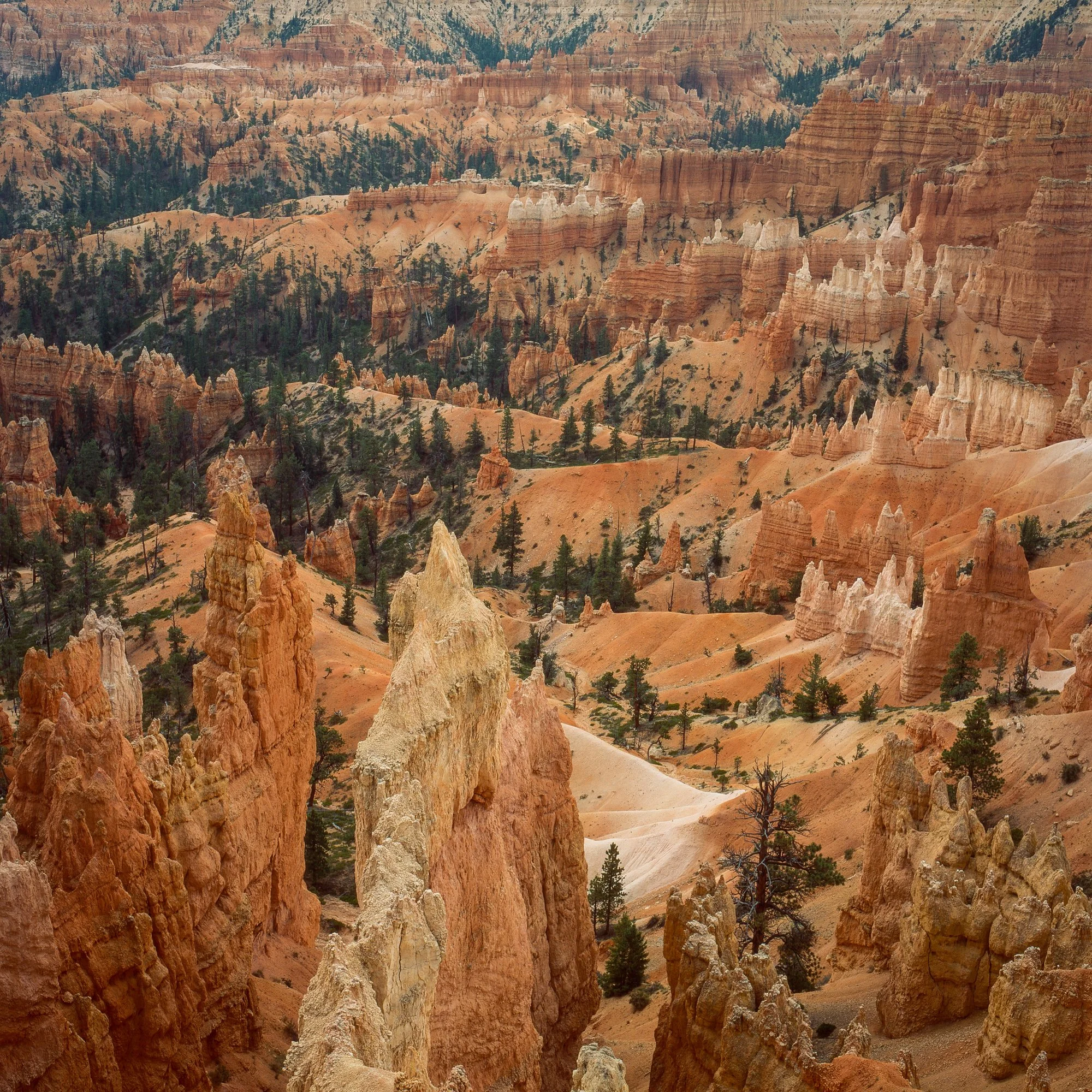 velvia50lv-5.jpg