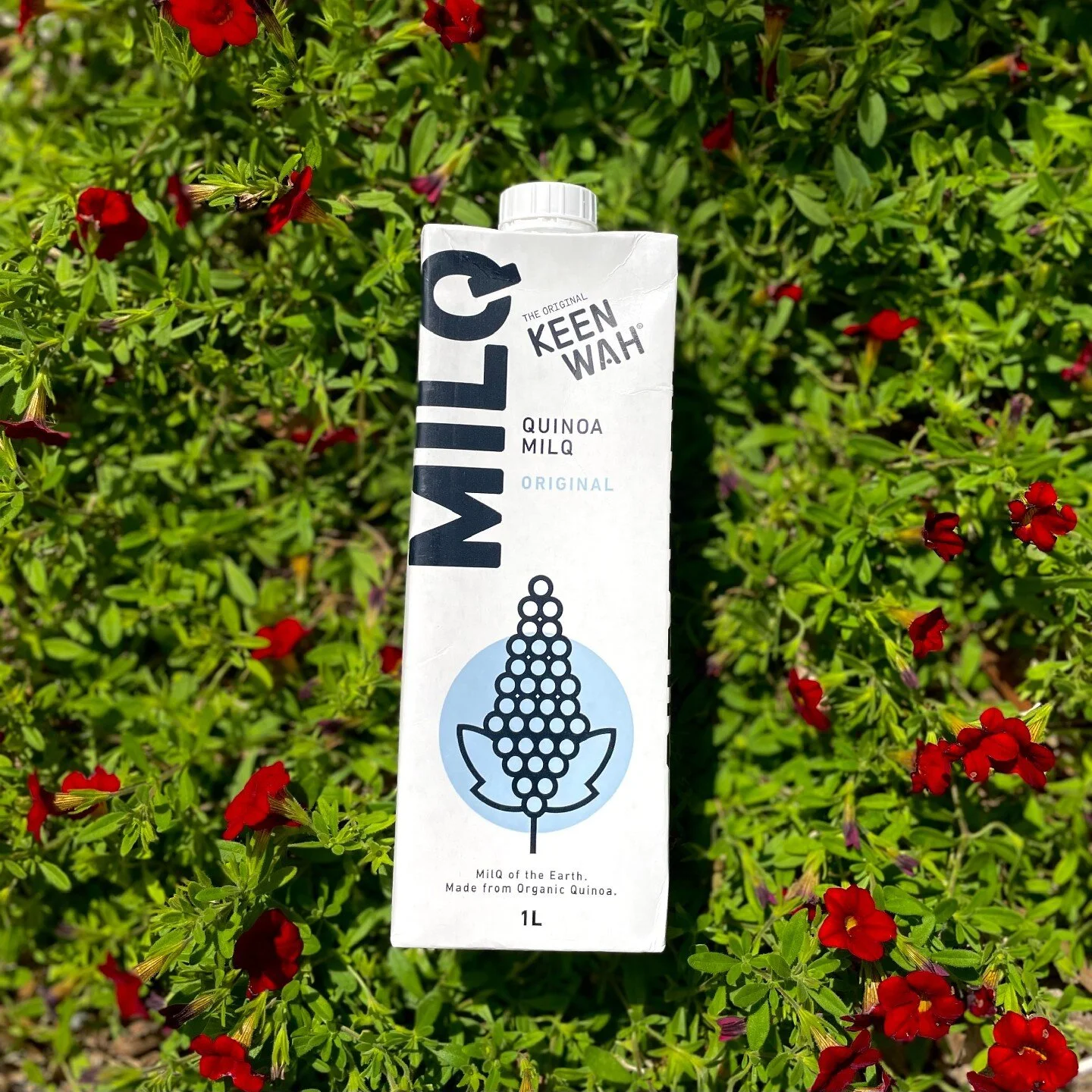 Spring has sprung! It's that time of year when nature shows off all she has to offer! 
We're partial to the power of plants...in case you couldn't tell 🤩 🌿 #plantpowered