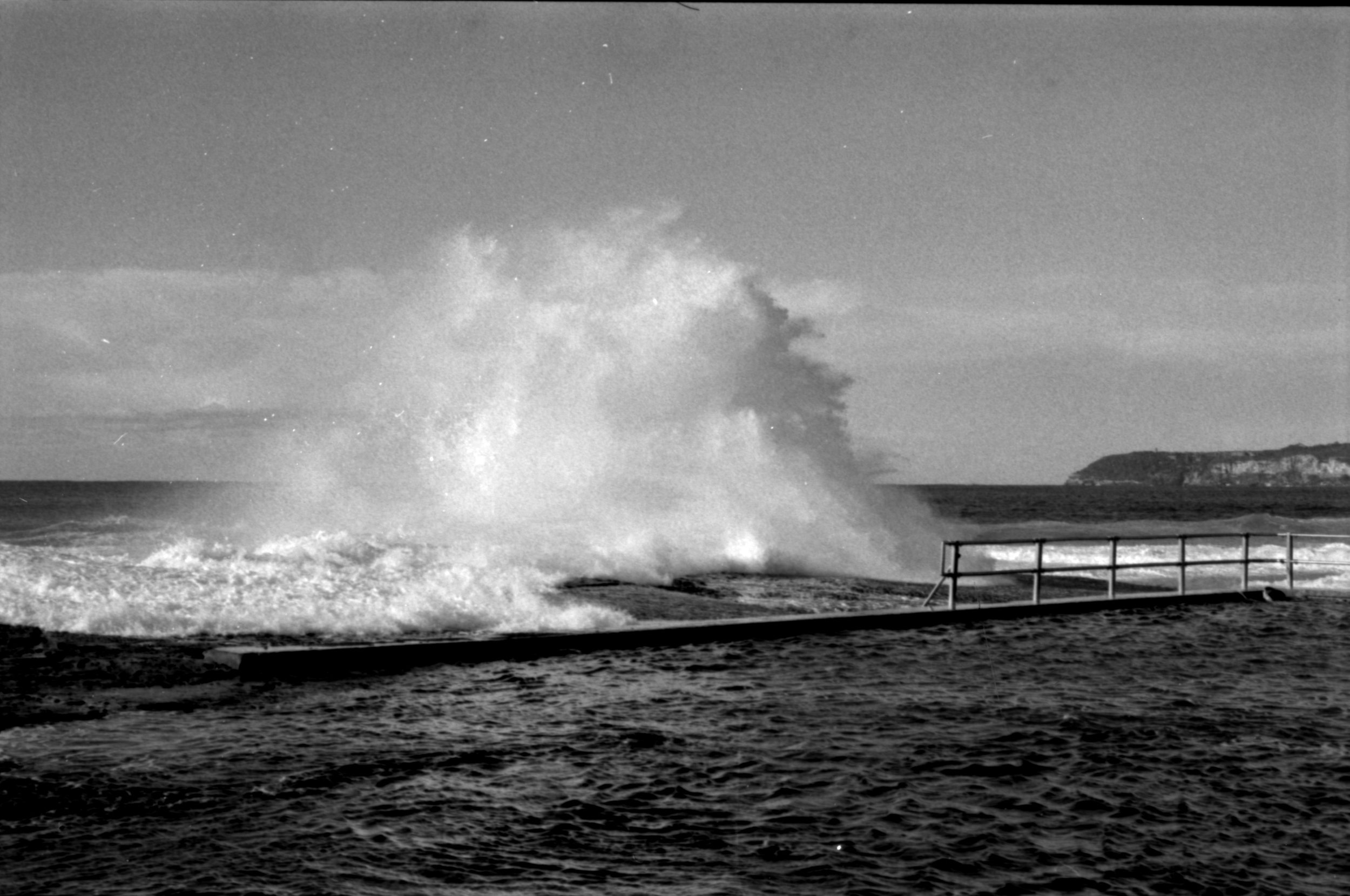 Curly 04 - Darkroom Print