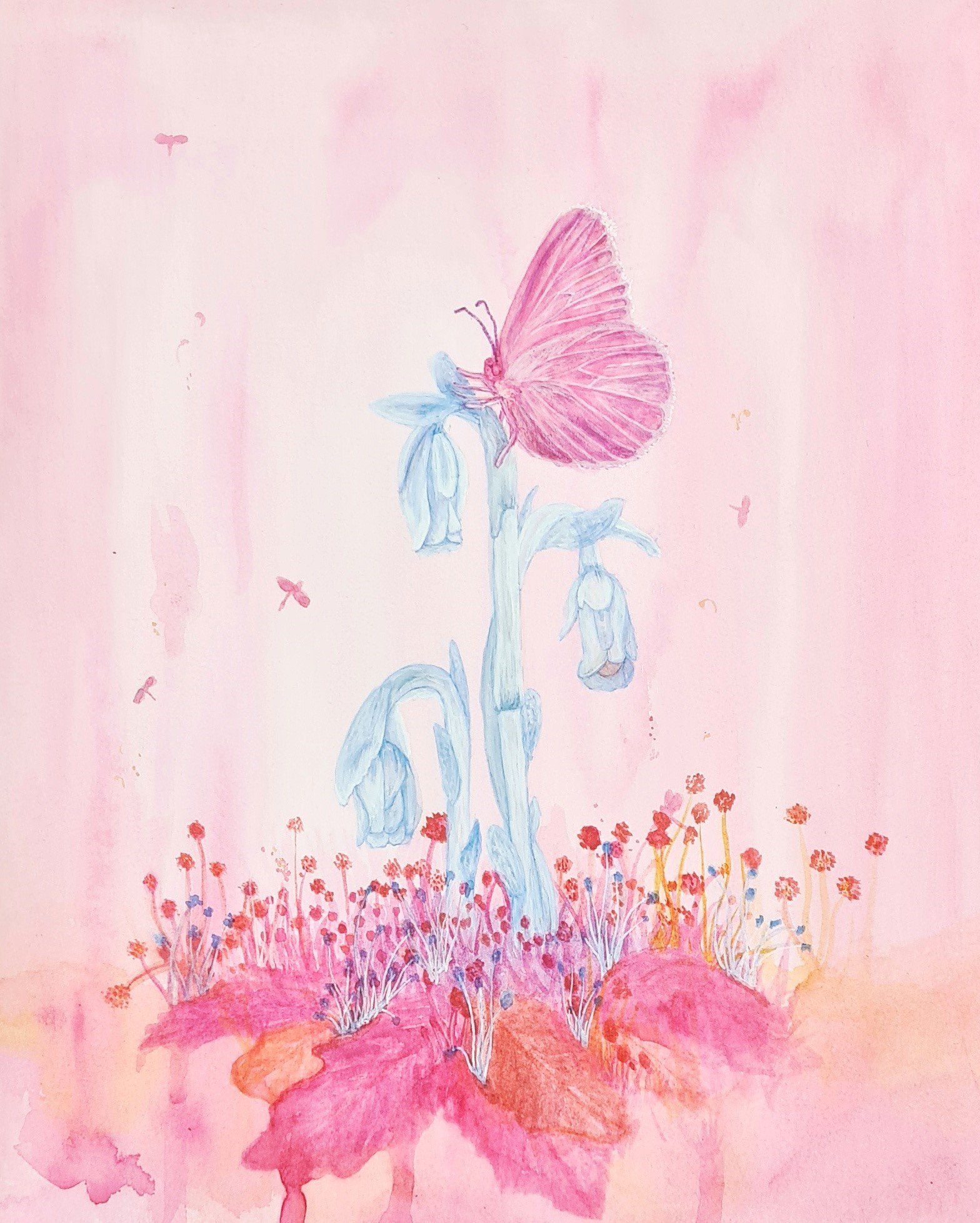 650 - Butterfly on ghost flower.3.jpeg