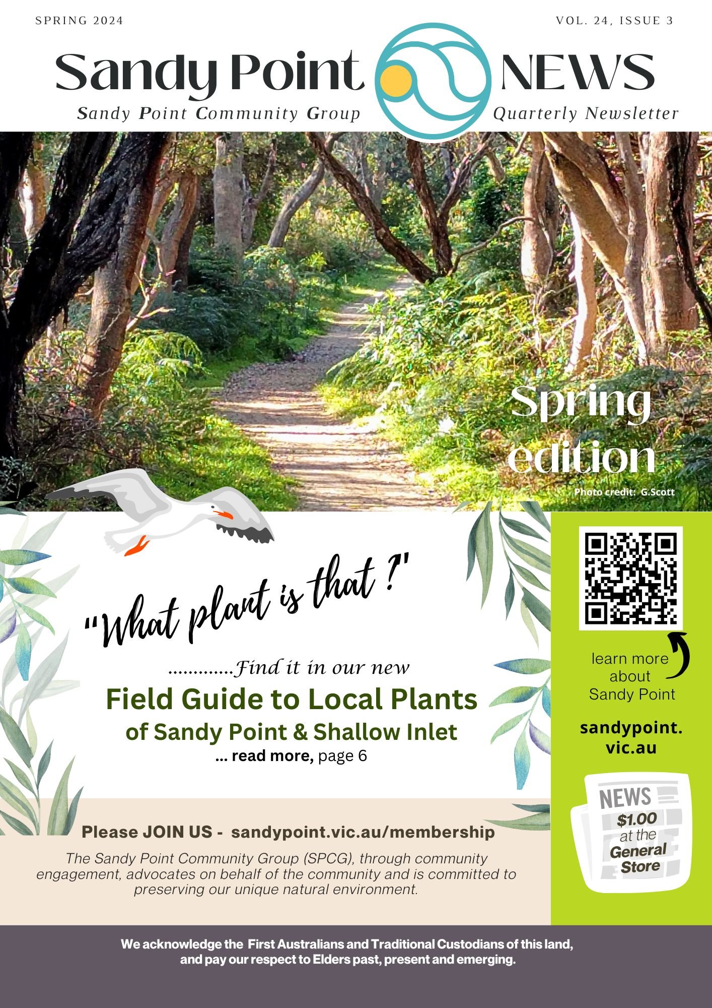 Latest Sandy Point Newsletter is out now. 