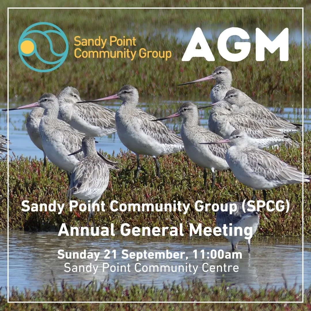Please join us at our AGM Sunday 21 September, 11am at the Sandy Point Community Centre. More information is available at www.sandypoint.vic.au/events/agm-2025