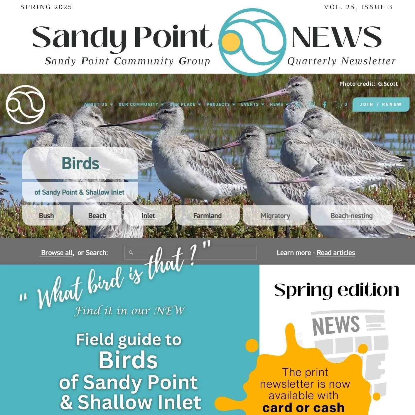 Have you picked up your copy of the latest SANDY POINT NEWS? 
Print copies are available in the General Store now for $2 by CARD or cash. Or available online at www.sandypoint.vic.au/spcg-newsletters.
Thanks to Leanne Cusack for this edition's stunni