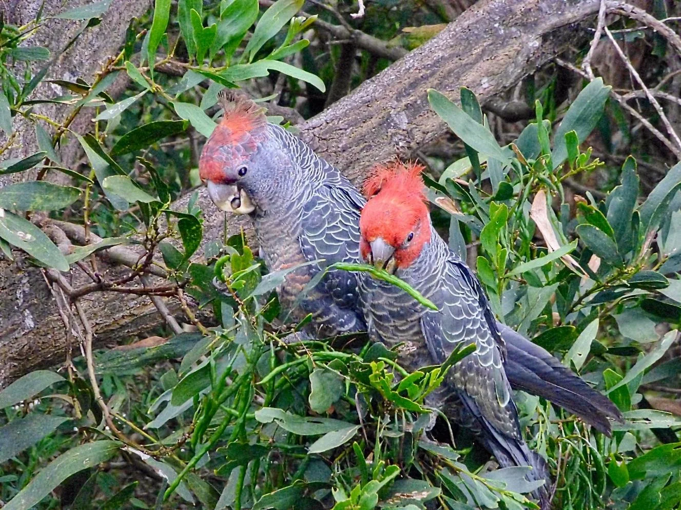 Photo by DiPhil Cornwell