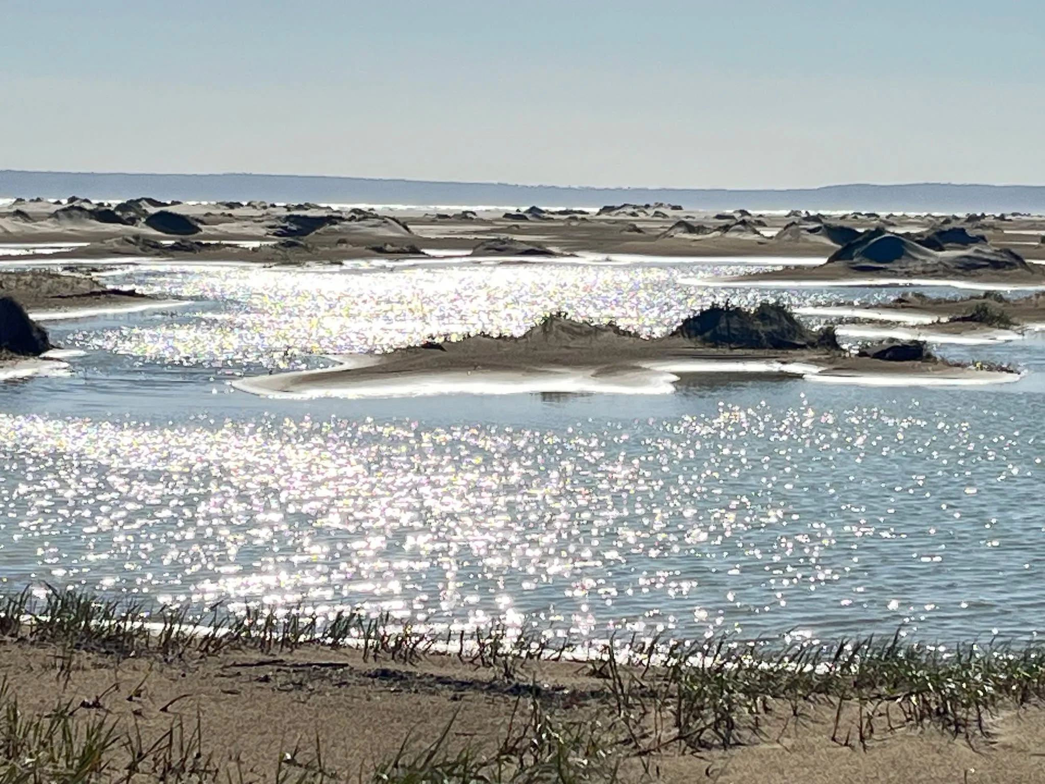 What's happening on our stunning sand spit ...

Most of these lakes, which persist along the whole length, contain salt water from ocean and inlet inundation, a few are fresh water from recent heavy rain. 
A massive amount of sand was deposited on th