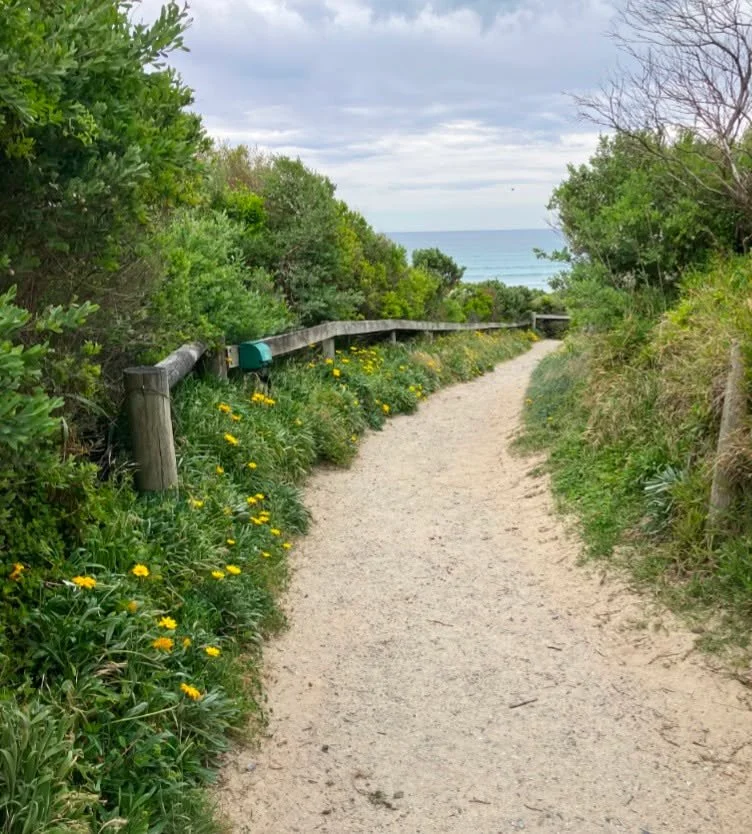GAZANIA WEEDING at the NED NEALES.

WiSP have organised a short weeding activity on the Ned Neale's track, with approval of the Foreshore Committee.
Meet at Ned Neales at 8am on Wednesday 12 November 2025.
All tools and gloves provided. Wear appropri
