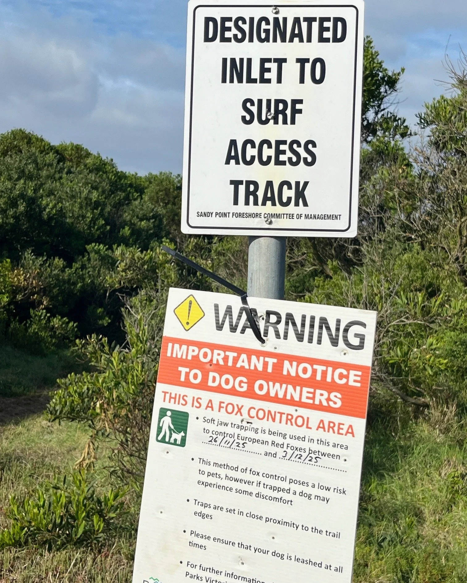 Fox-trapping signs on the spit went up earlier this week -  one fox caught this round already! 

Designated Track has been recently maintained so is now safer from hidden snakes; over this week sand deposited at the base of the steep sand-cliff has m