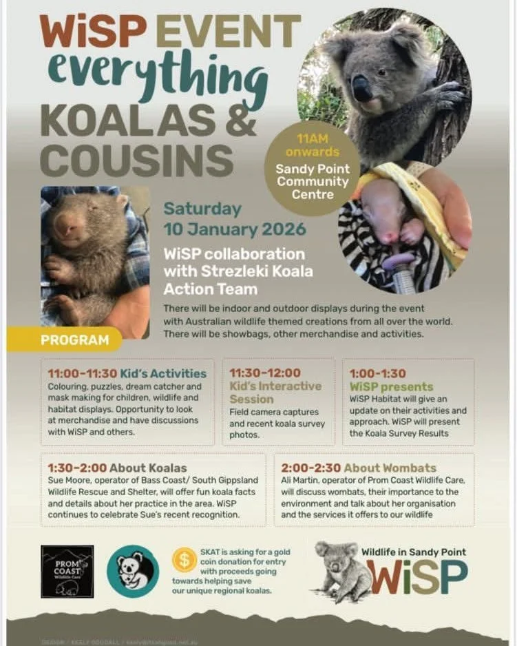 COMING UP THIS WEEKEND
WiSP "Everything Koalas &amp; Cousins", Saturday  10 Jan at the community centre. See the program below for details of information presentations.
