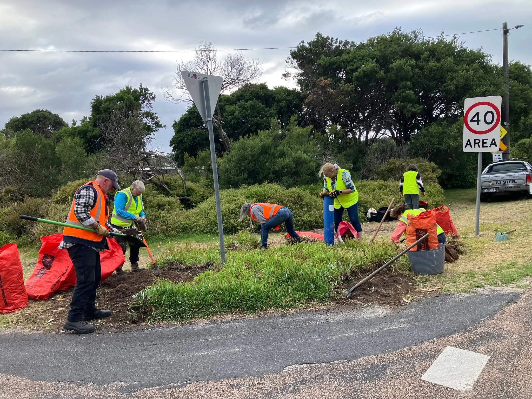 𝐒𝐭𝐫𝐞𝐞𝐭 𝐂𝐨𝐫𝐧𝐞𝐫 𝐖𝐞𝐞𝐝𝐢𝐧𝐠 𝐚𝐧𝐝 𝐏𝐥𝐚𝐧𝐭𝐢𝐧𝐠 𝐚𝐜𝐭𝐢𝐯𝐢𝐭𝐢𝐞𝐬, 
𝐚𝐧𝐝 𝐡𝐨𝐰 𝐭𝐨 𝐬𝐰𝐚𝐩 𝐲𝐨𝐮𝐫 𝐒𝐚𝐧𝐝𝐲 𝐏𝐨𝐢𝐧𝐭 𝐠𝐚𝐫𝐝𝐞𝐧 𝐰𝐞𝐞𝐝𝐬 𝐟𝐨𝐫 𝐧𝐞𝐰, 𝐥𝐨𝐜𝐚𝐥 𝐢𝐧𝐝𝐢𝐠𝐞𝐧𝐨𝐮𝐬 𝐩𝐥𝐚𝐧𝐭𝐬.

On Thursday morni