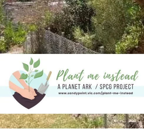 ORDERS CLOSED
We have reached our target of 50 property owners who have taken advantage of our &lsquo;weed for plant exchange&rsquo;. We are not taking any more orders, but there are still a few dozen assorted plants available for anyone who was unab