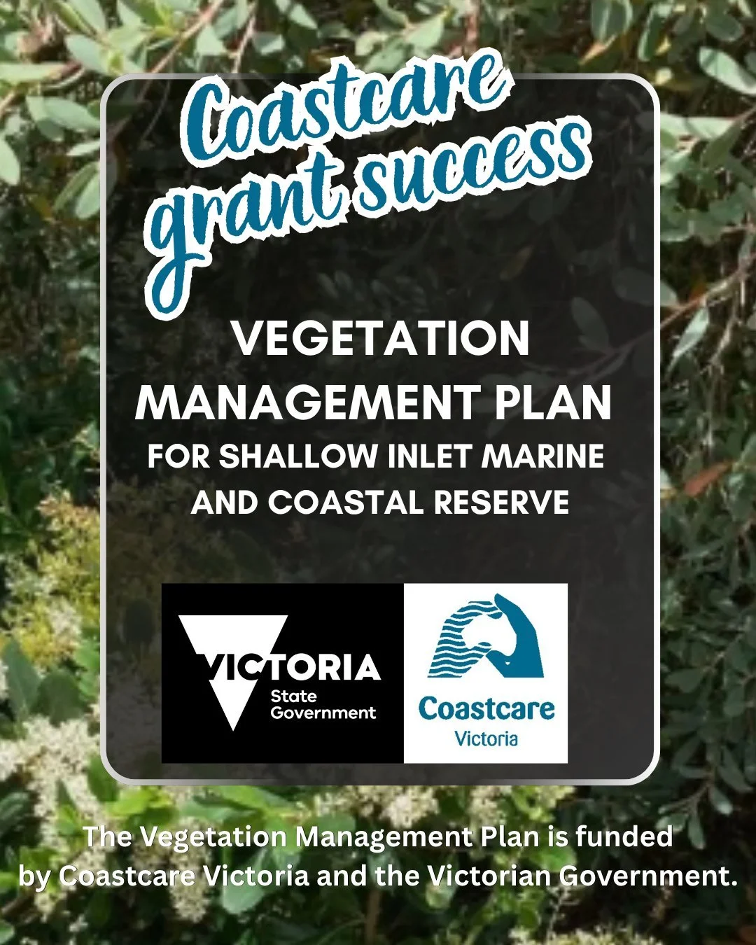 Shallow Inlet Marine and Coastal Reserve Vegetation Management Plan.
This project will develop a Vegetation Management Plan for the reserve, comprising flora and fauna lists, weed population data, GIS layers including vegetation conditions, priority 